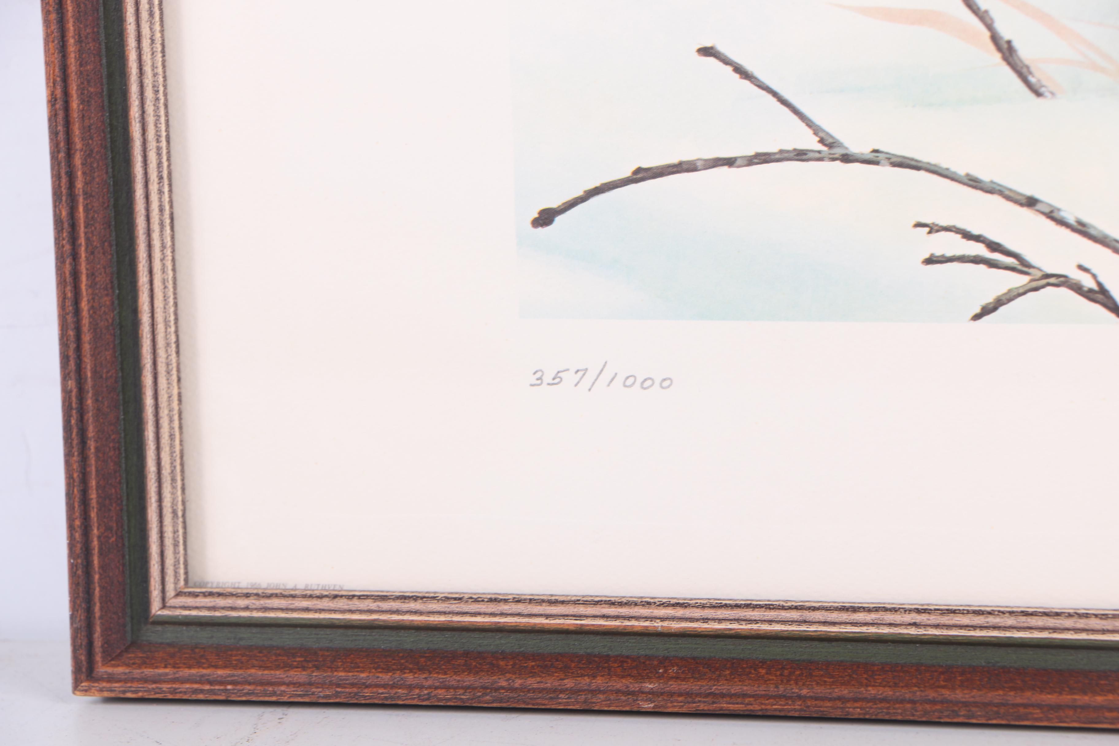 John Ruthven Limited Edition "Ring-necked Pheasant" with Remarque