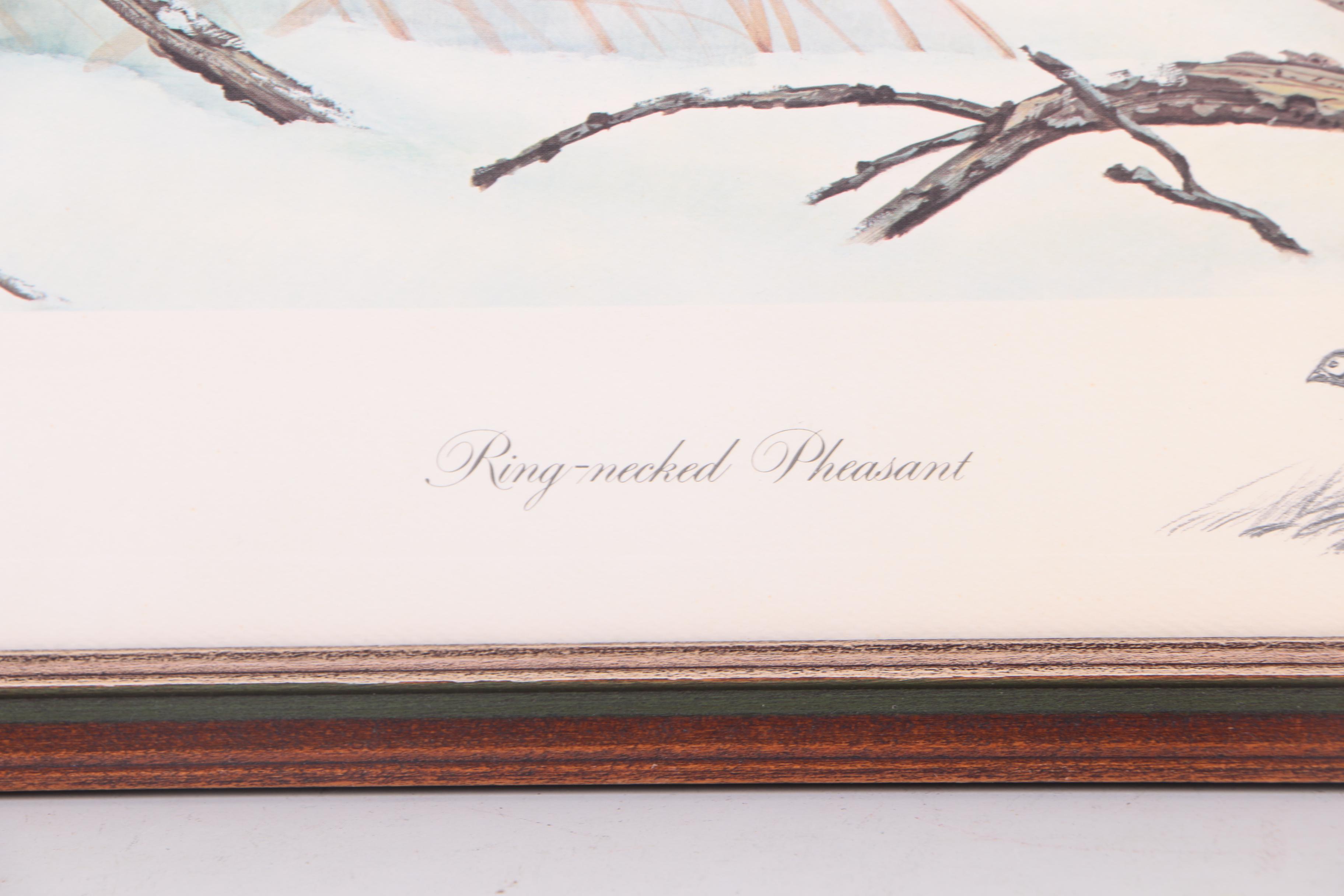 John Ruthven Limited Edition "Ring-necked Pheasant" with Remarque