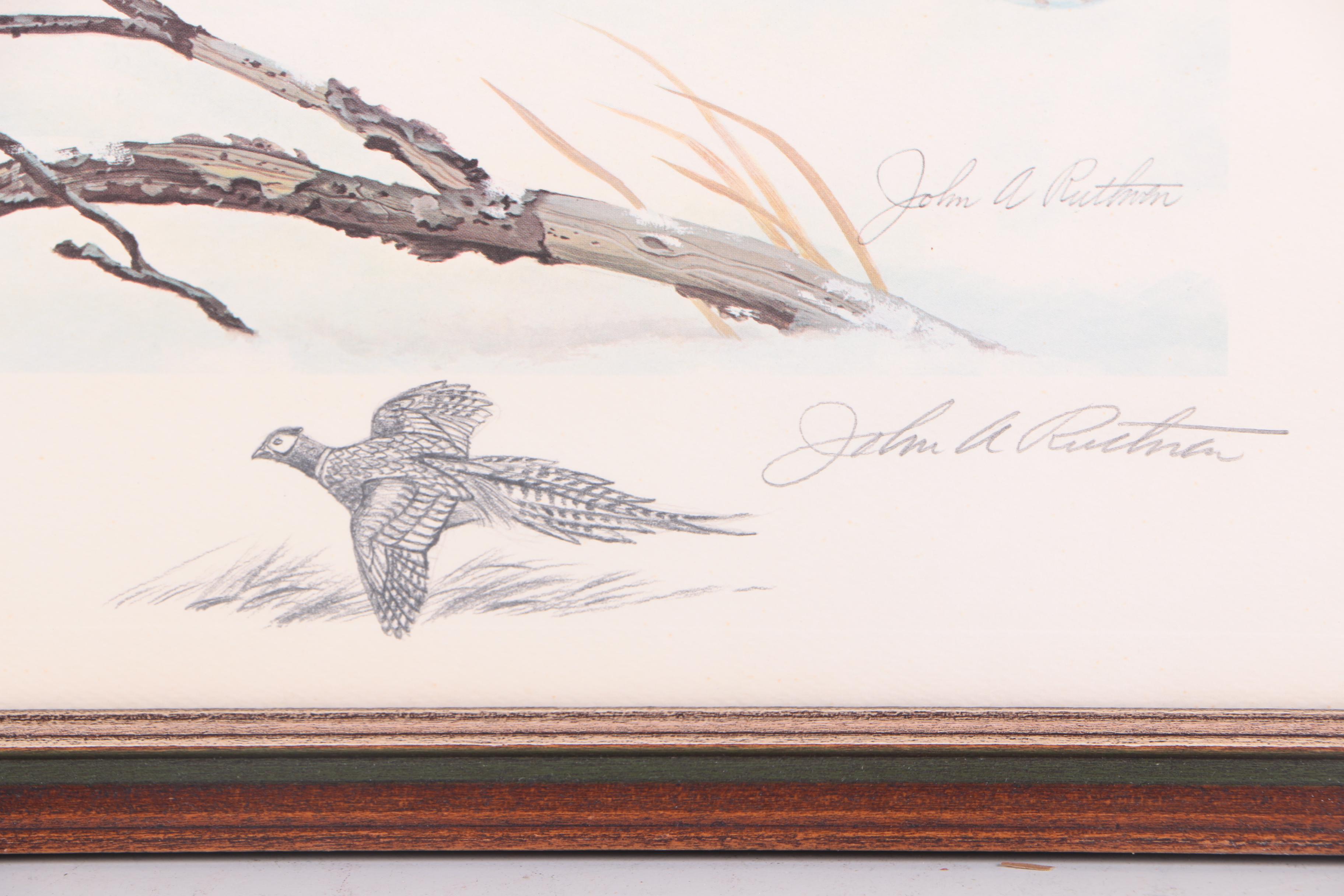 John Ruthven Limited Edition "Ring-necked Pheasant" with Remarque
