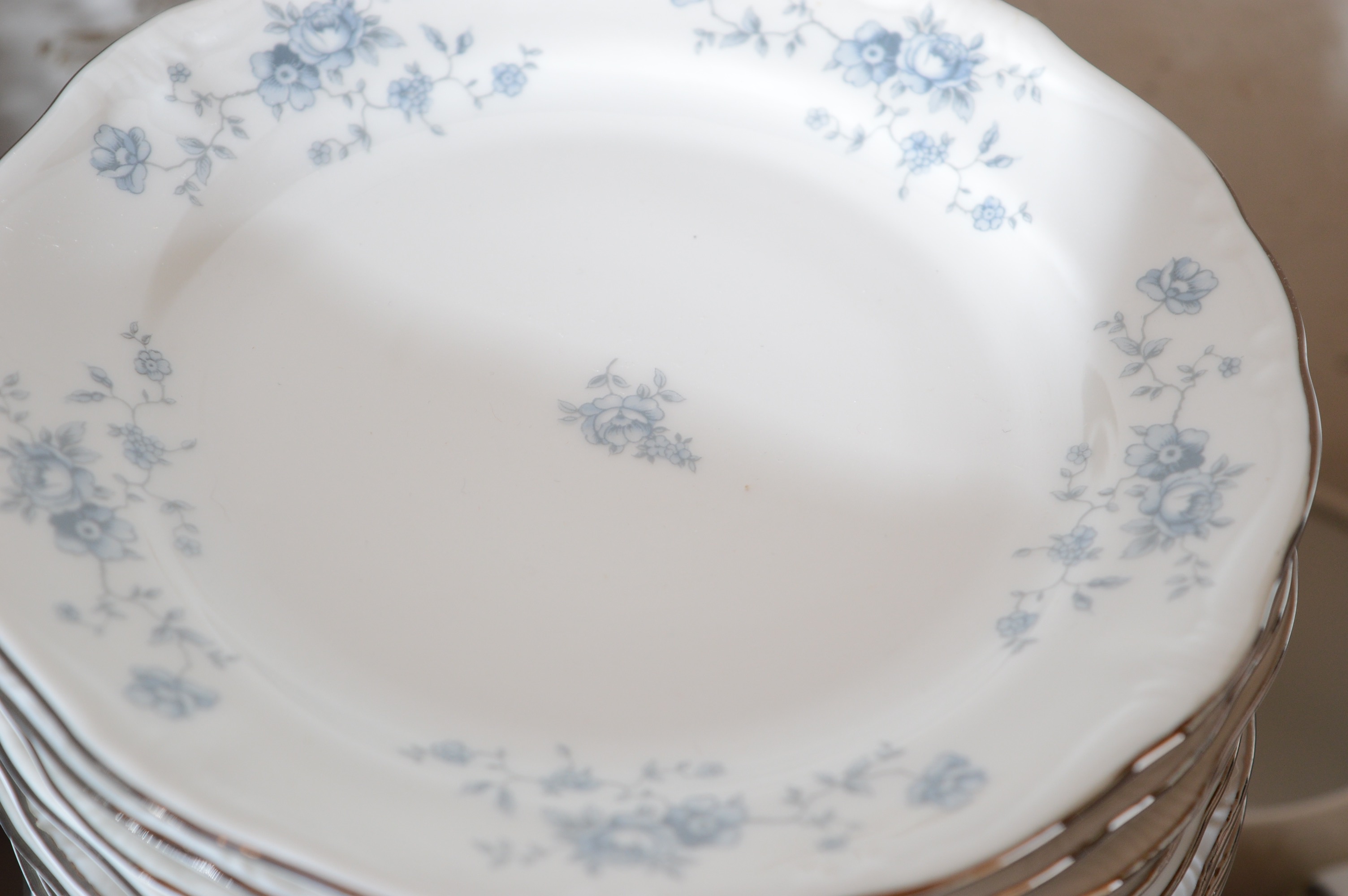Haviland "Bue Garland" China