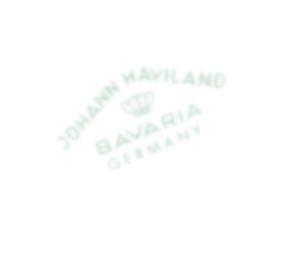 Haviland "Bue Garland" China