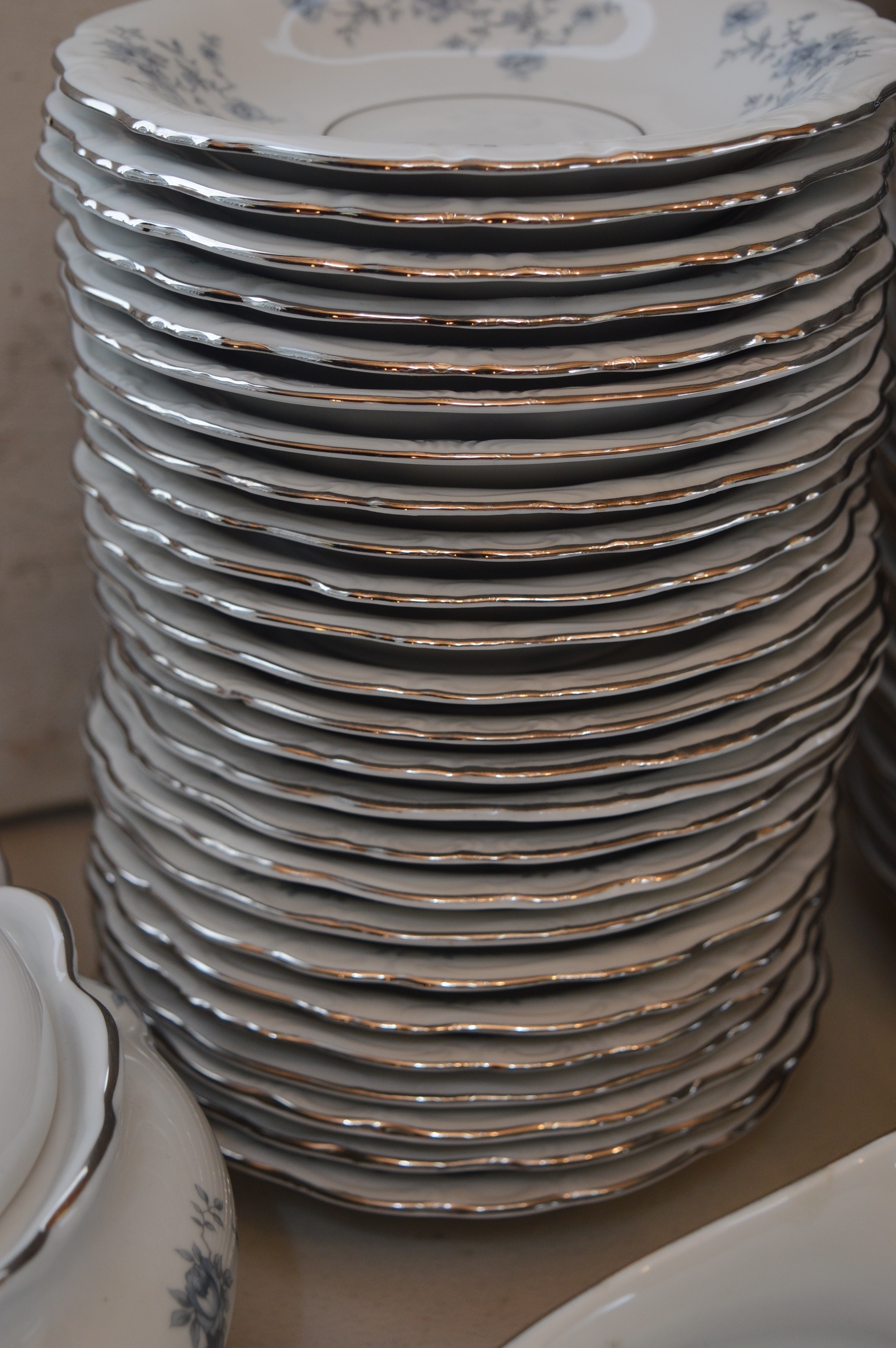 Haviland "Bue Garland" China