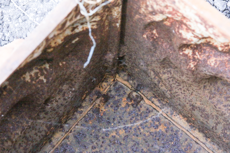 White Cast Iron Lion Planter