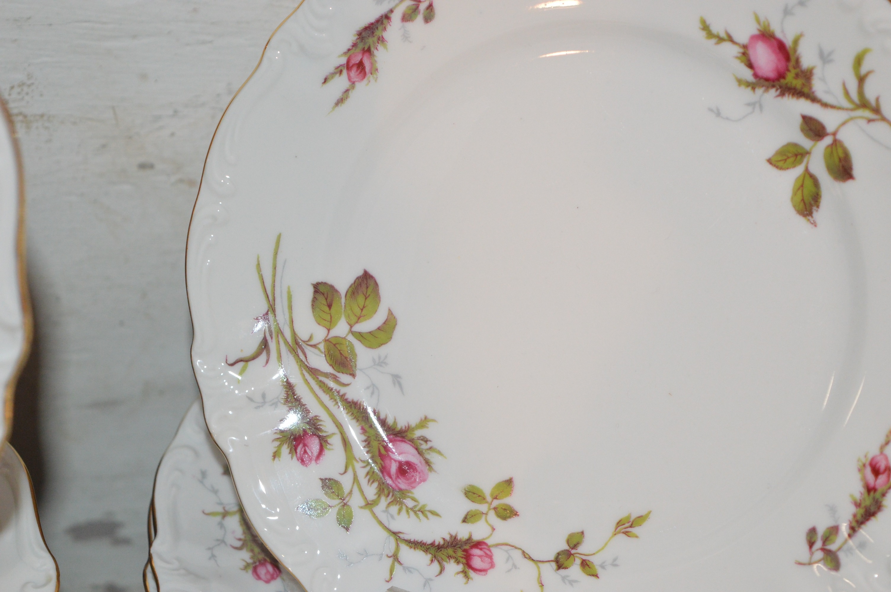 Mixed Collection of Bavarian Rose Bud China