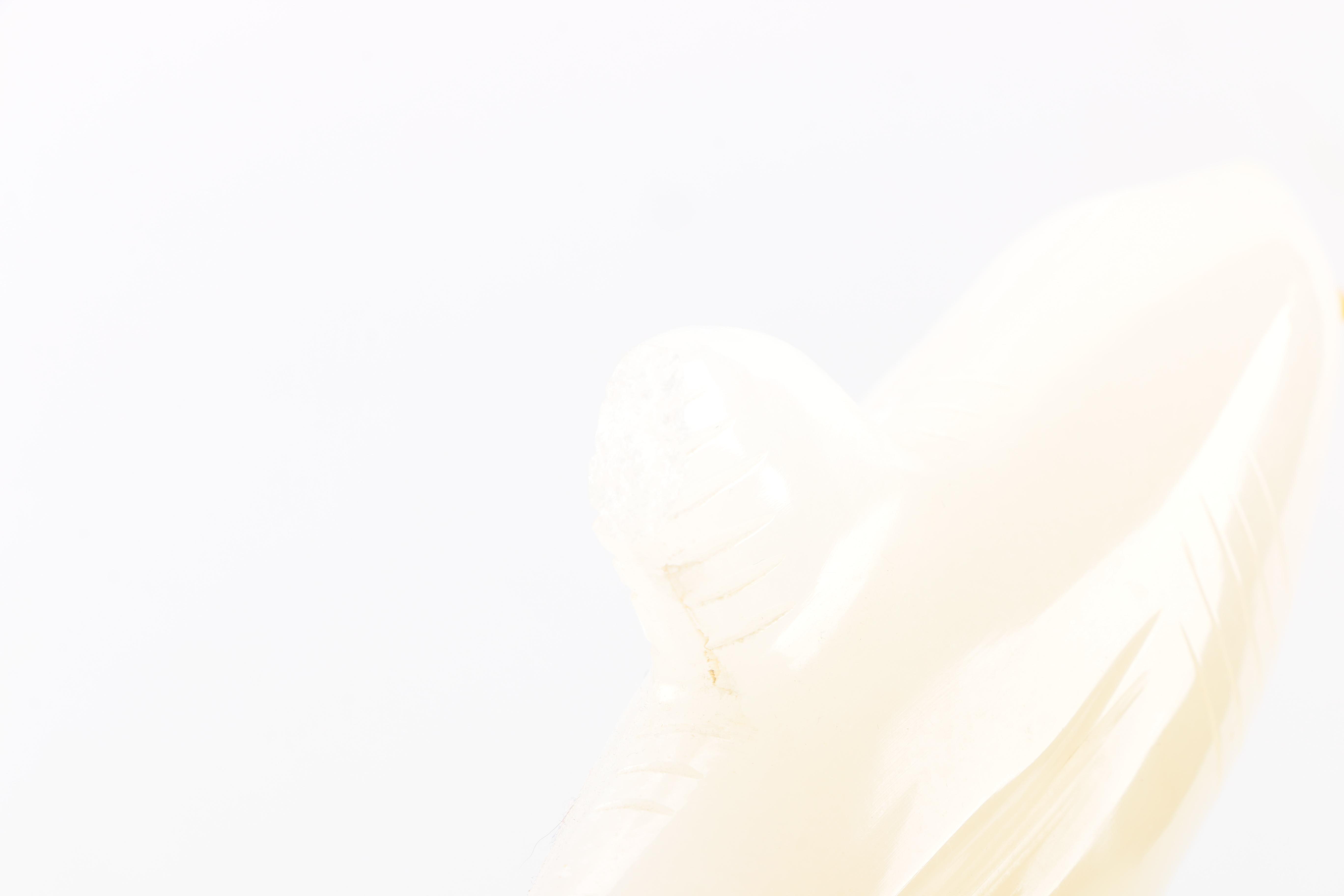 Carved and Sculpted Animal Figurines