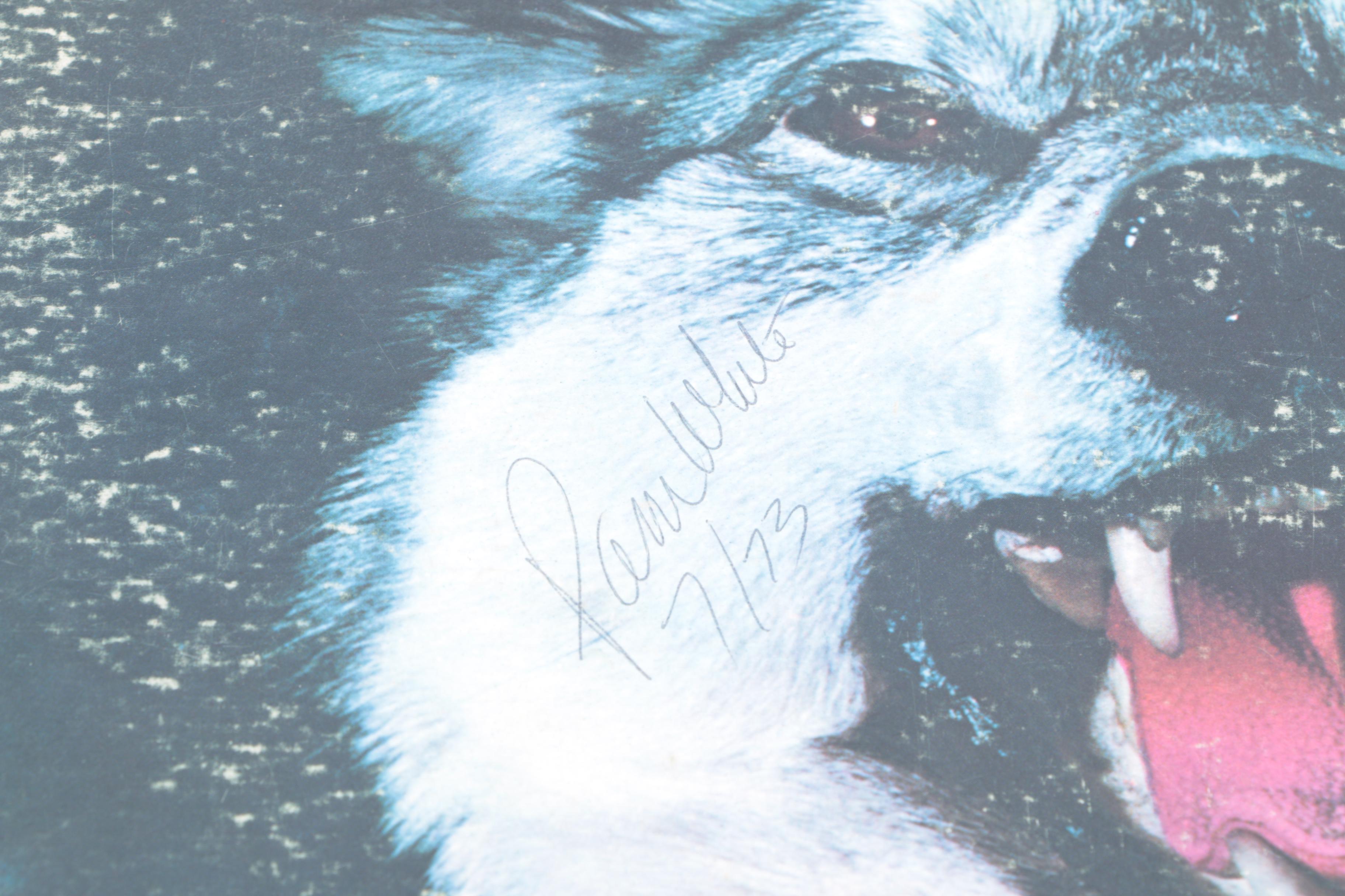 Police, CSNY, Yes, and Other Vintage LPs