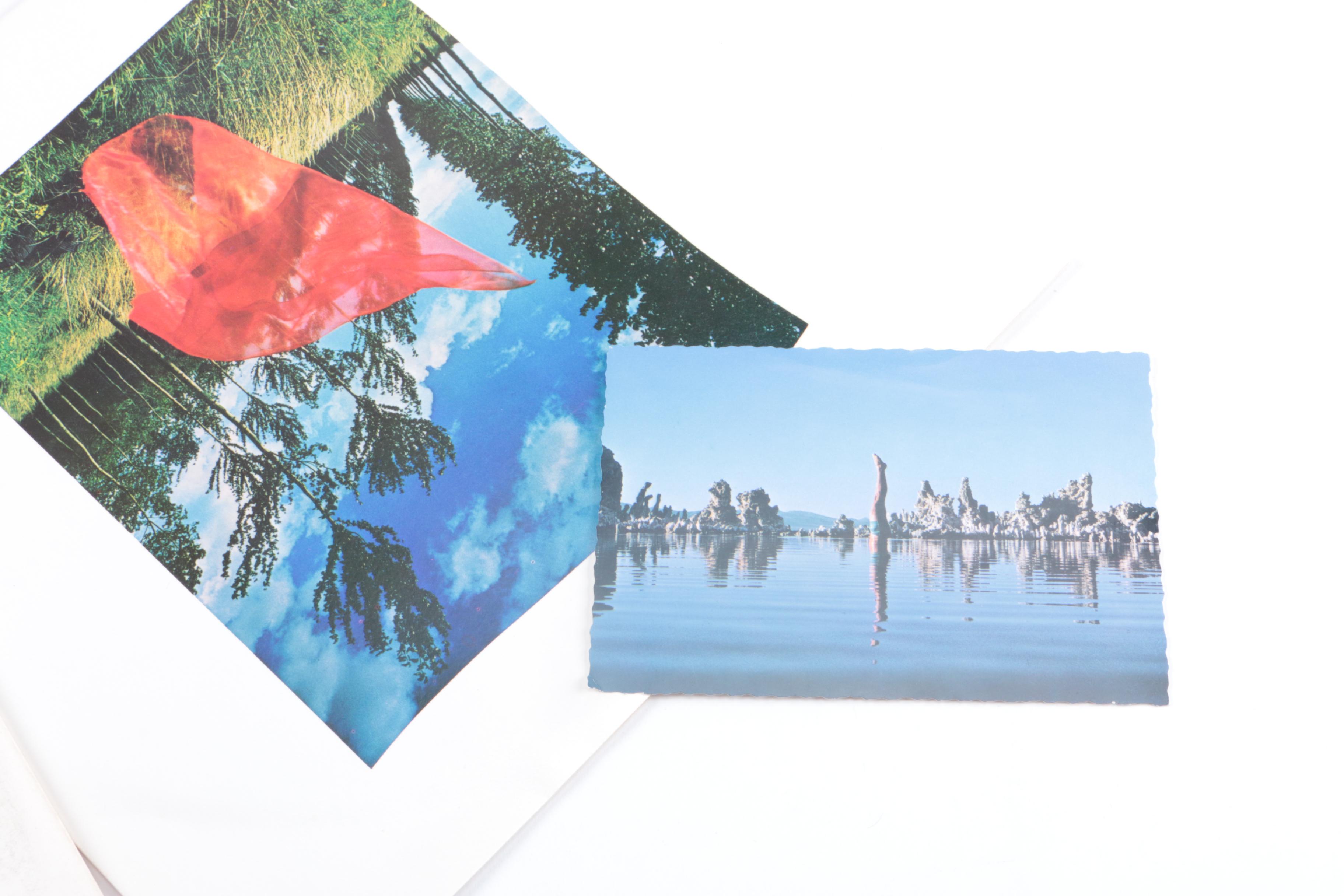 Pink Floyd "Dark Side of the Moon" and "Wish You Were Here" LPs