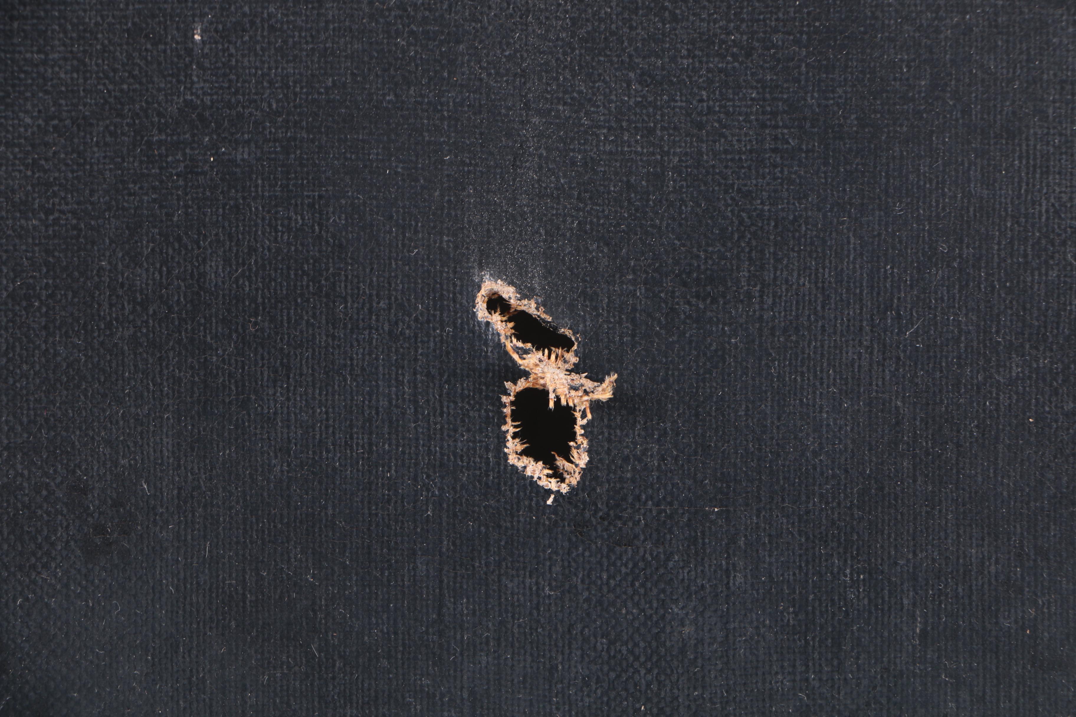 Oil Painting on Canvas Portrait of a Gentleman