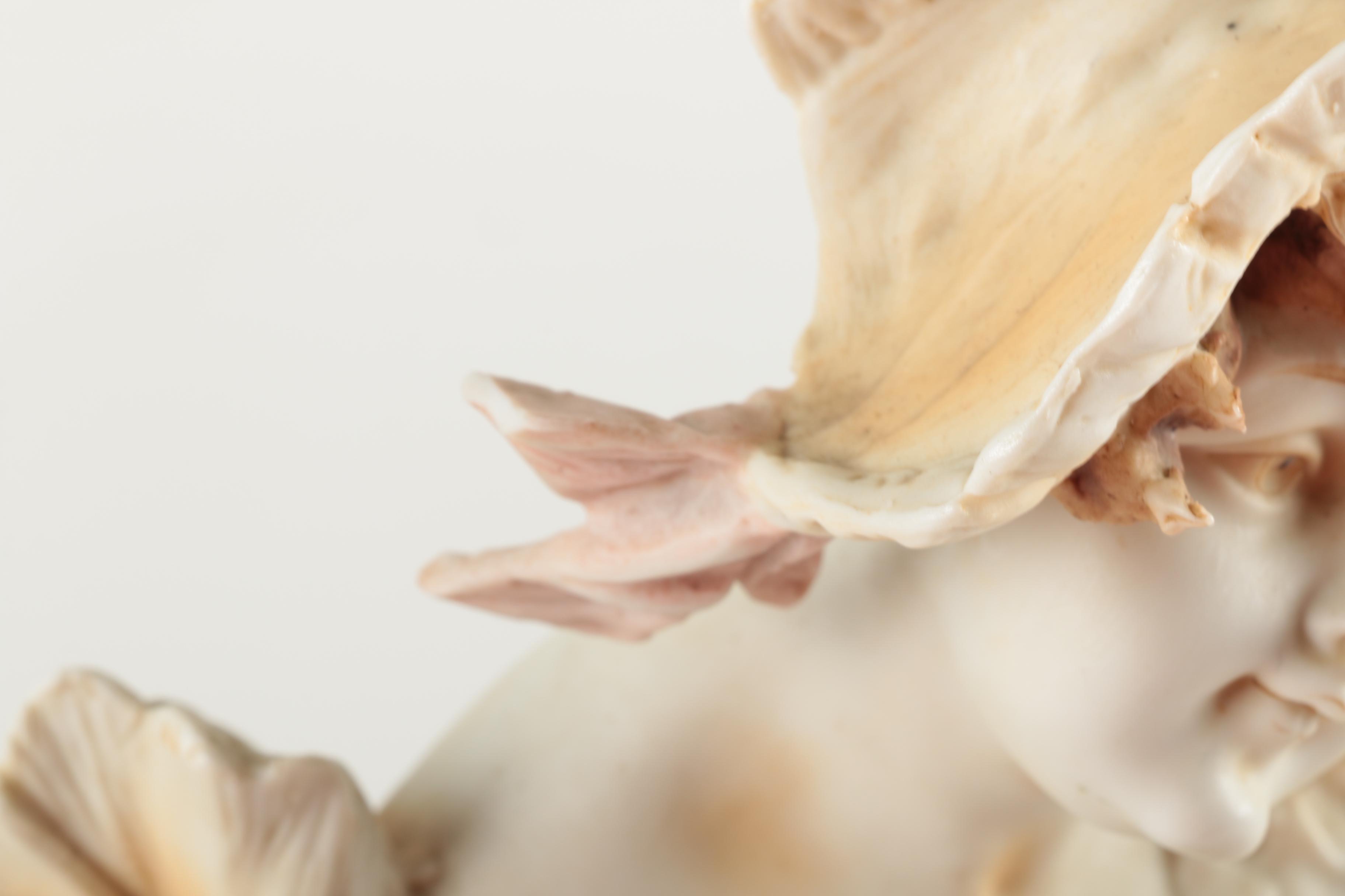 Porcelain Bust of a Woman