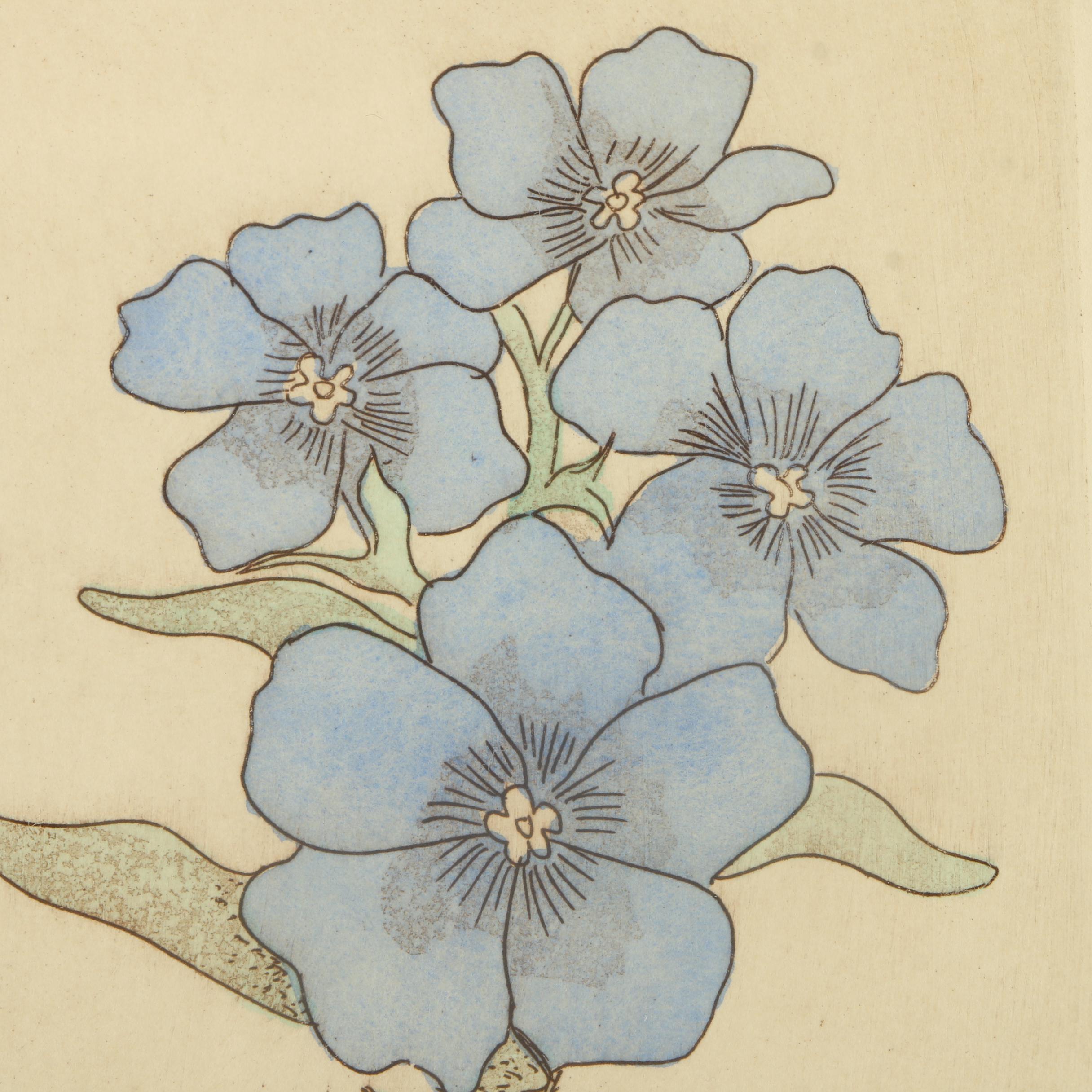 Limited Edition Hand Colored Etchings with Embossment "Phlox" and "Poppy"