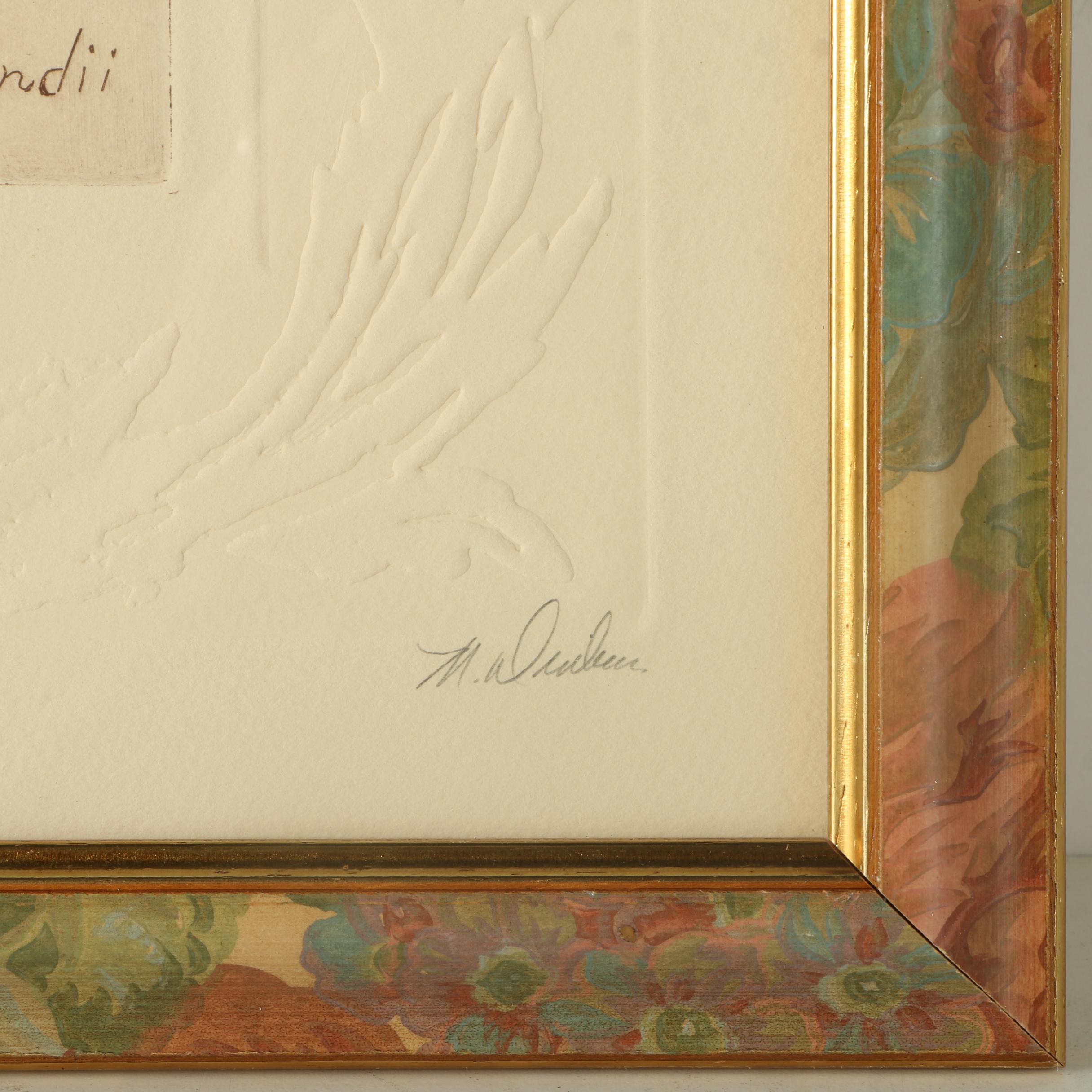 Limited Edition Hand Colored Etchings with Embossment "Phlox" and "Poppy"