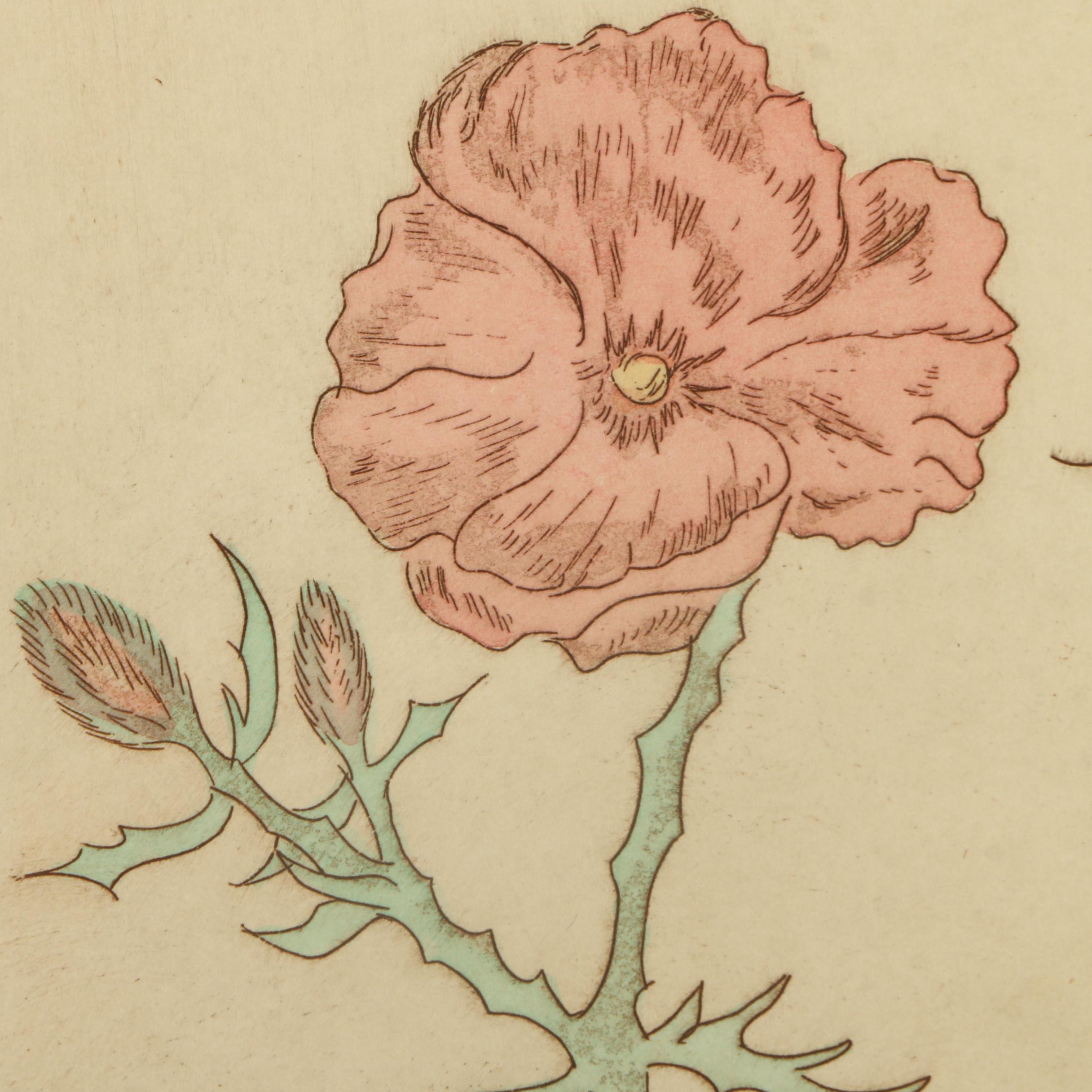 Limited Edition Hand Colored Etchings with Embossment "Phlox" and "Poppy"