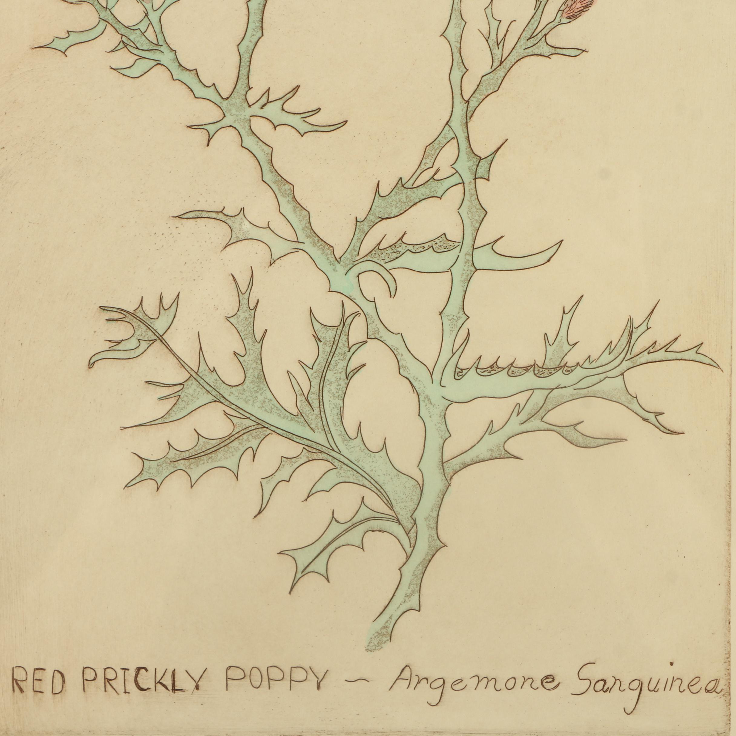 Limited Edition Hand Colored Etchings with Embossment "Phlox" and "Poppy"