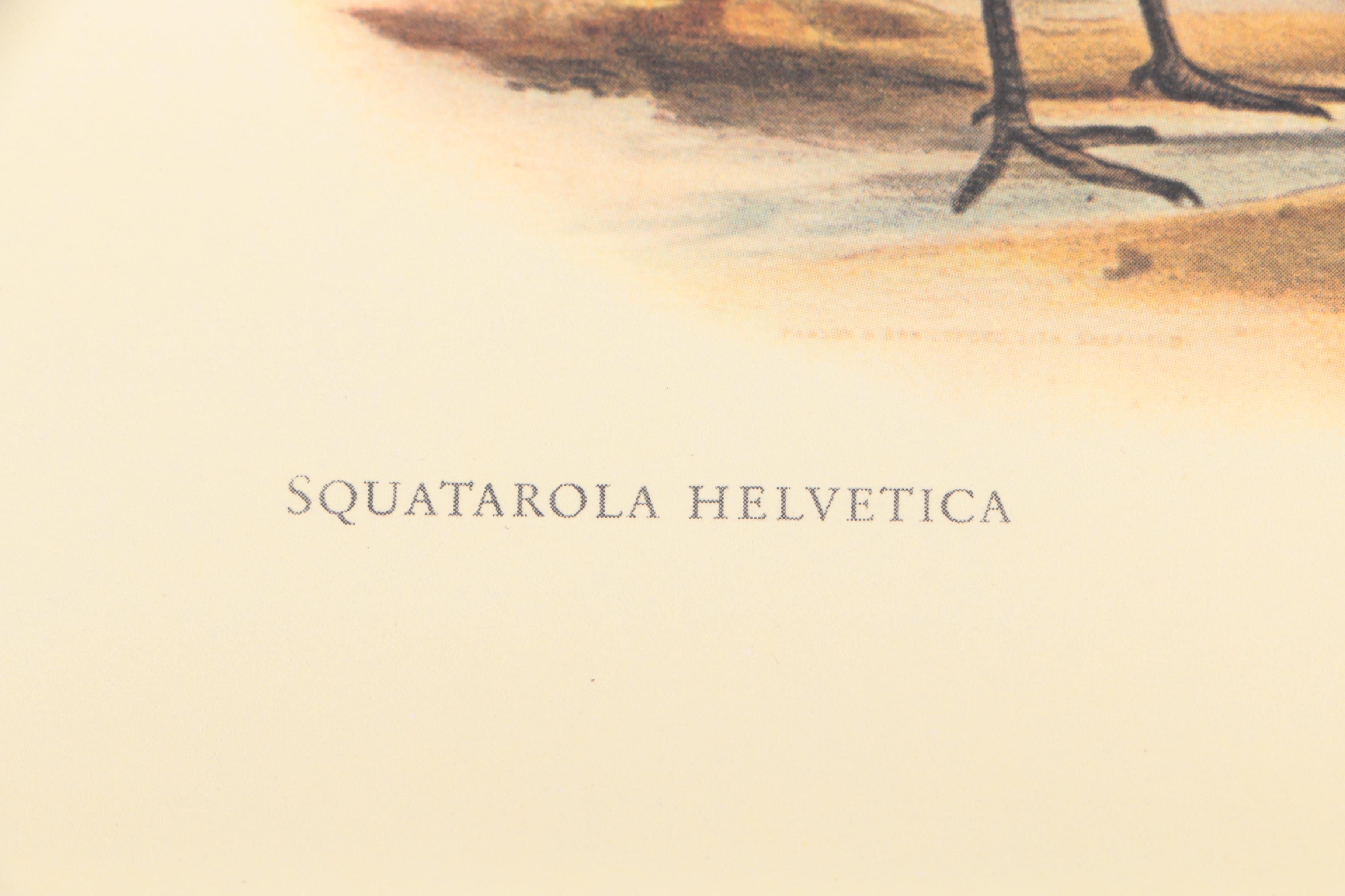 Offset Lithographs After Pierre-Joseph Redoute of Roses and Birds