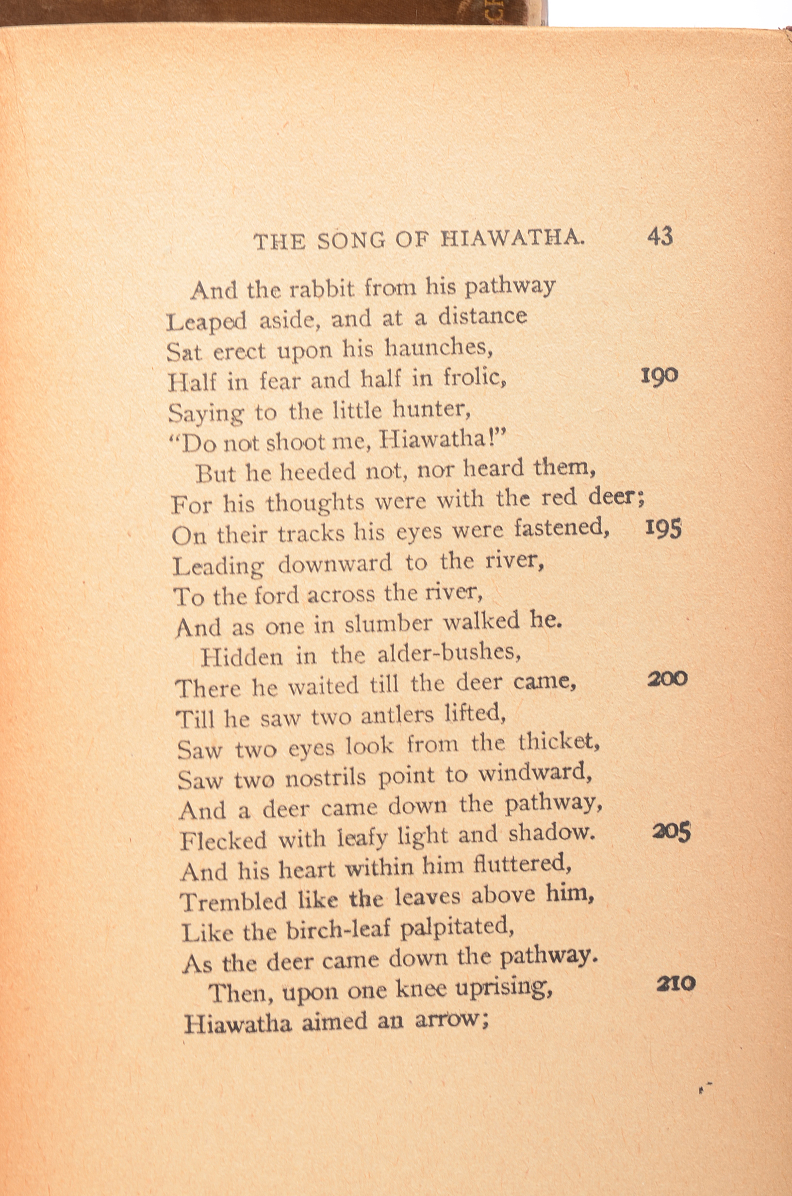 Group of Poetry Books