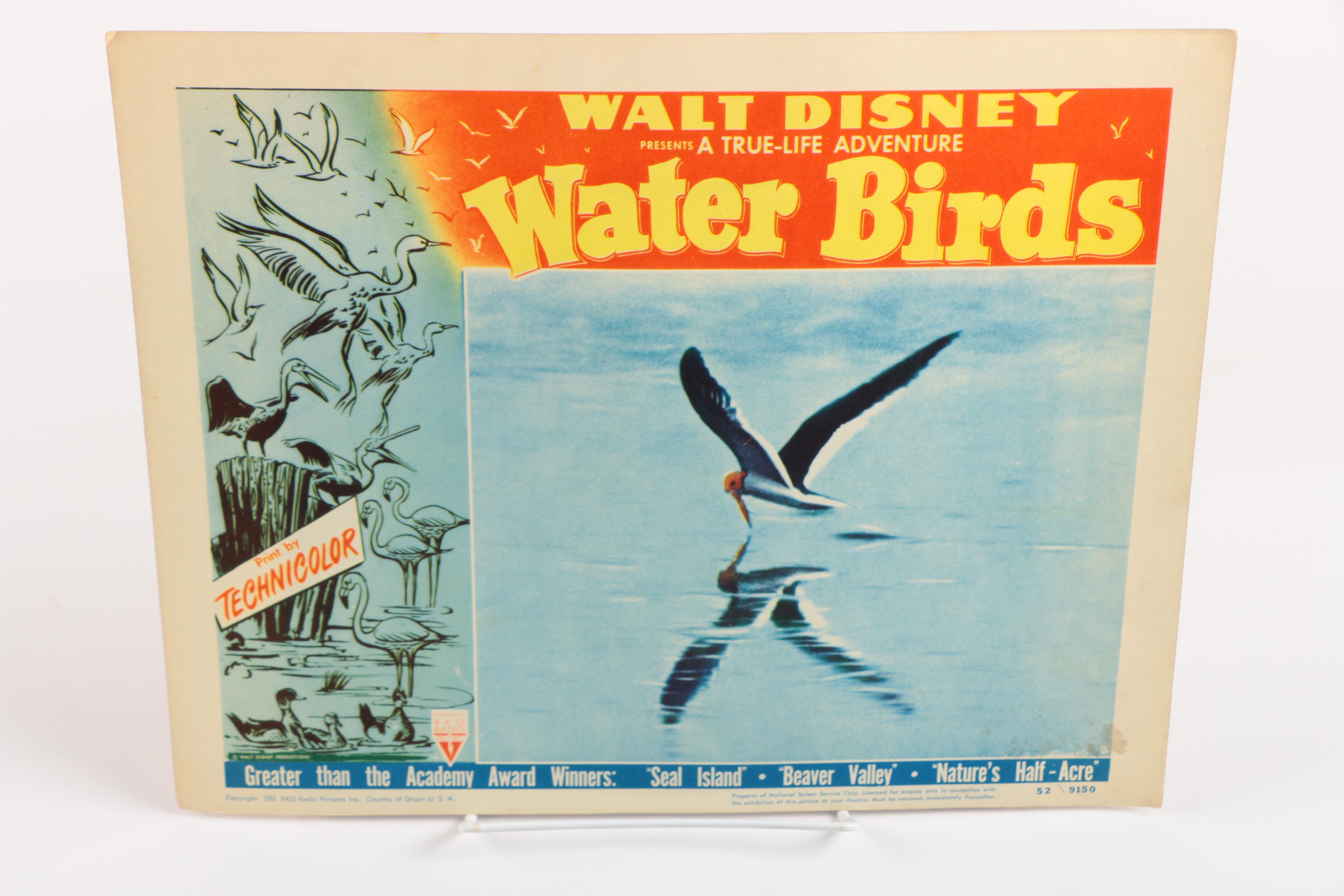 Vintage Walt Disney Feature Film Posters and Lobby Cards