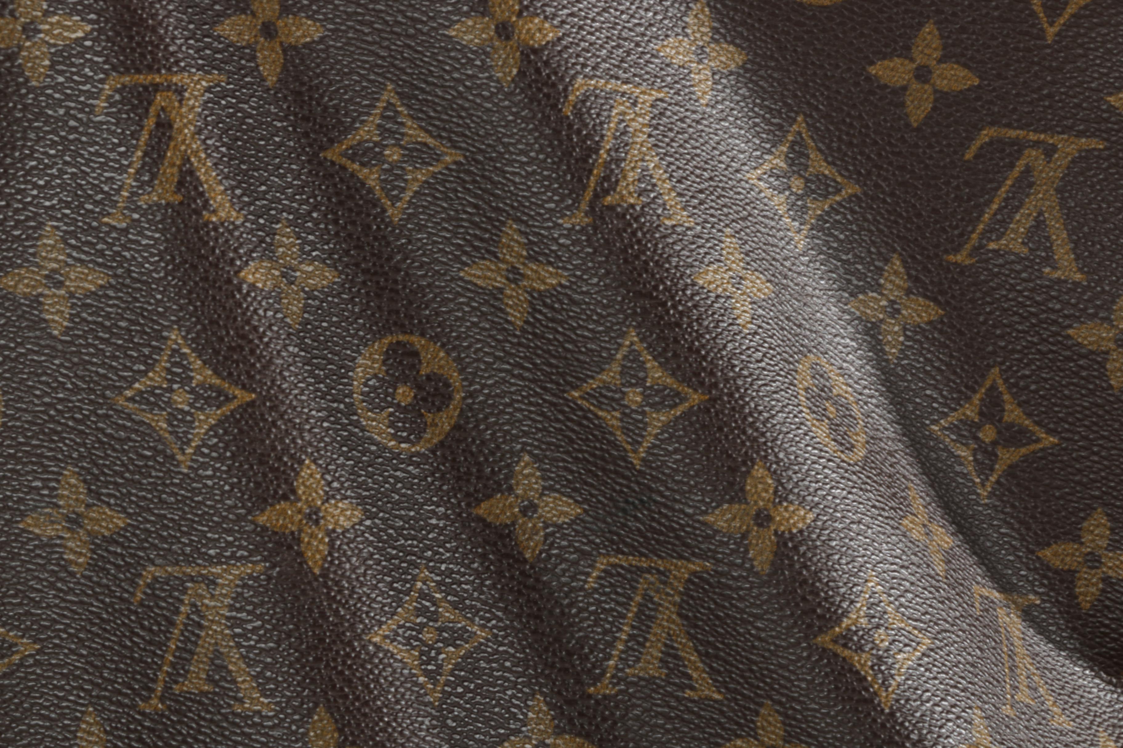 Louis Vuitton Garment Bag