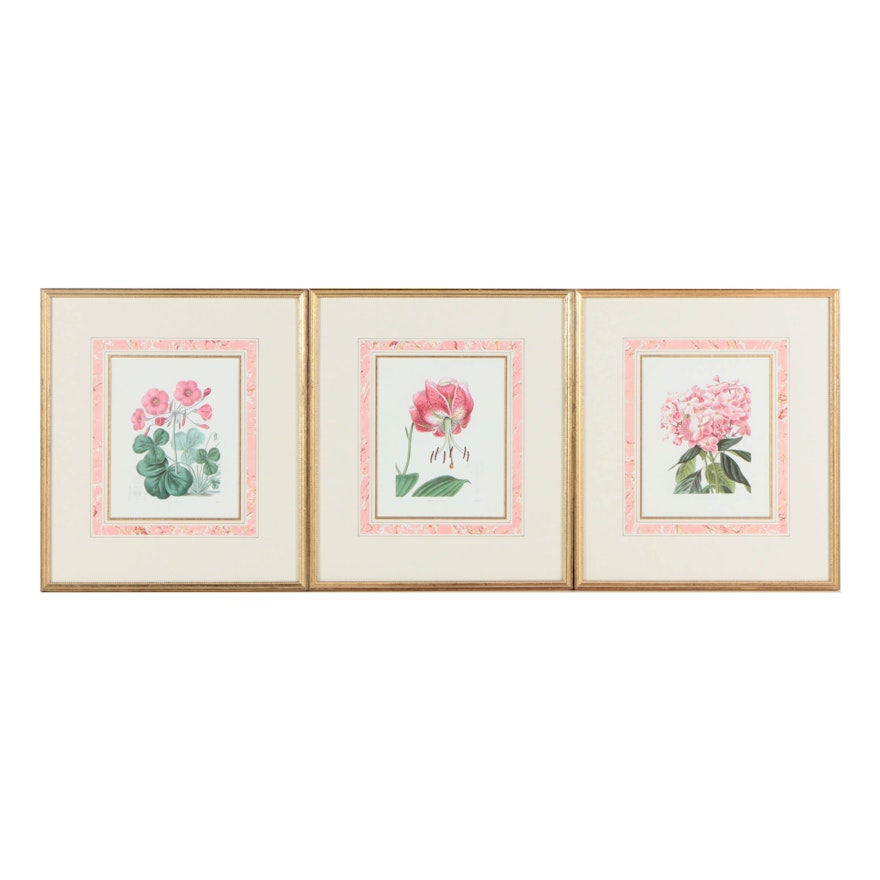 Assorted Reproduction Offset Lithographs on Paper of Botanical Illustrations