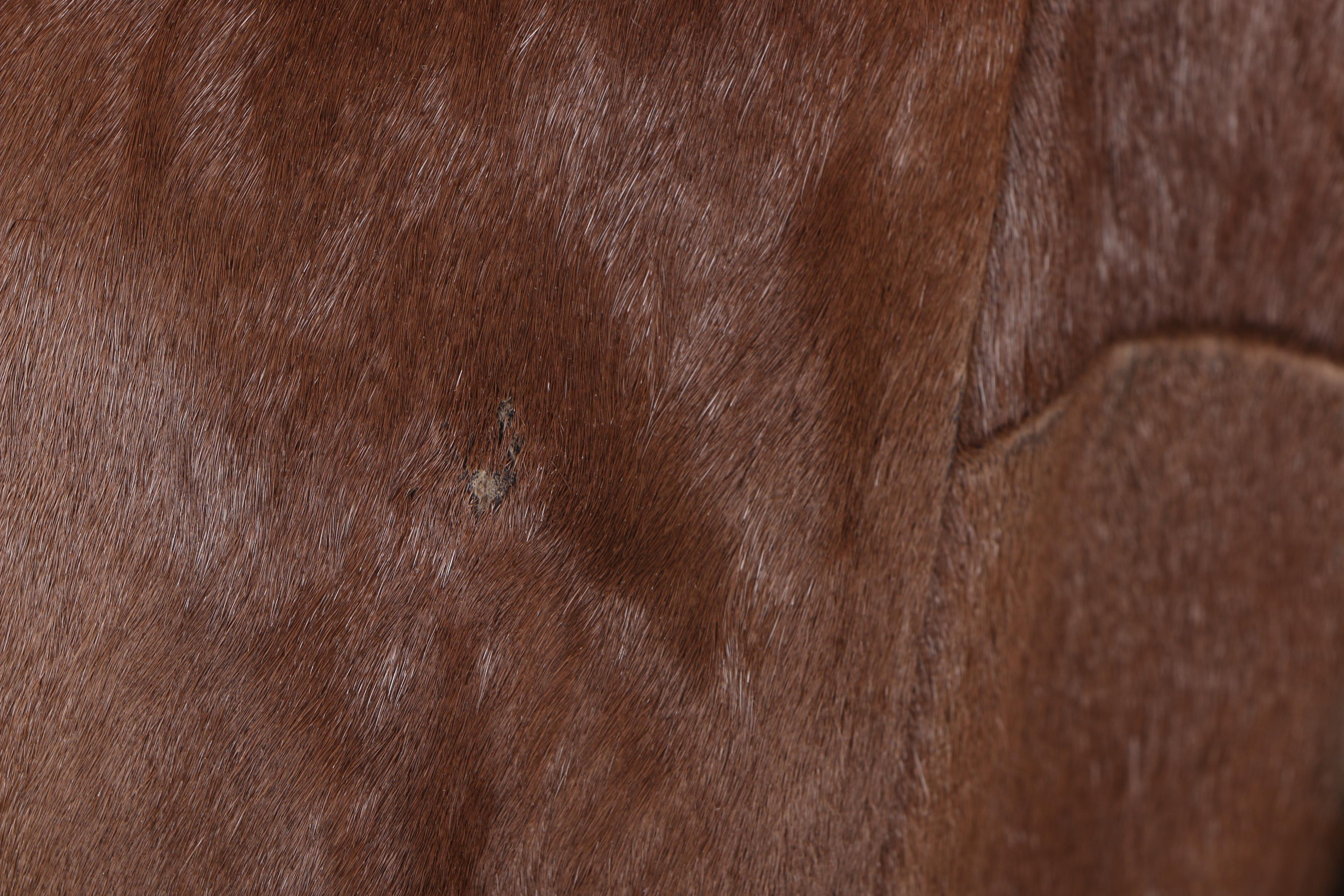 Women's 1970s Vintage Colzer Spanish Cowhide Coat