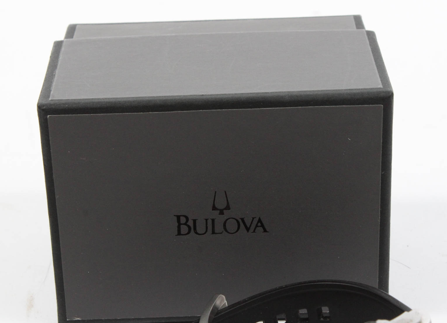 Bulova Precisionist Champlain Watch