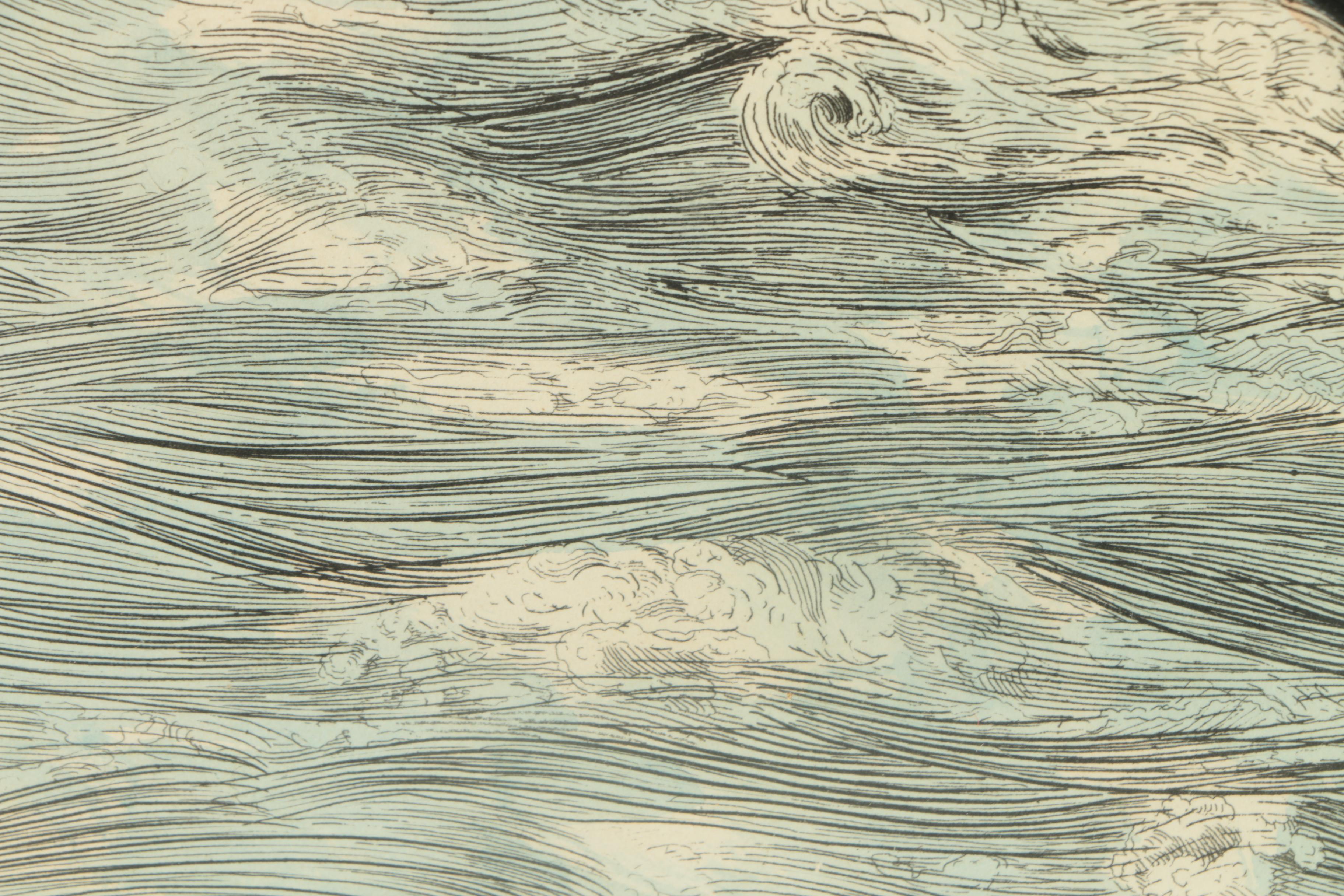 Prideaux John Selby Hand-Colored Drypoint Engraving on Paper "Eider Duck, Male"