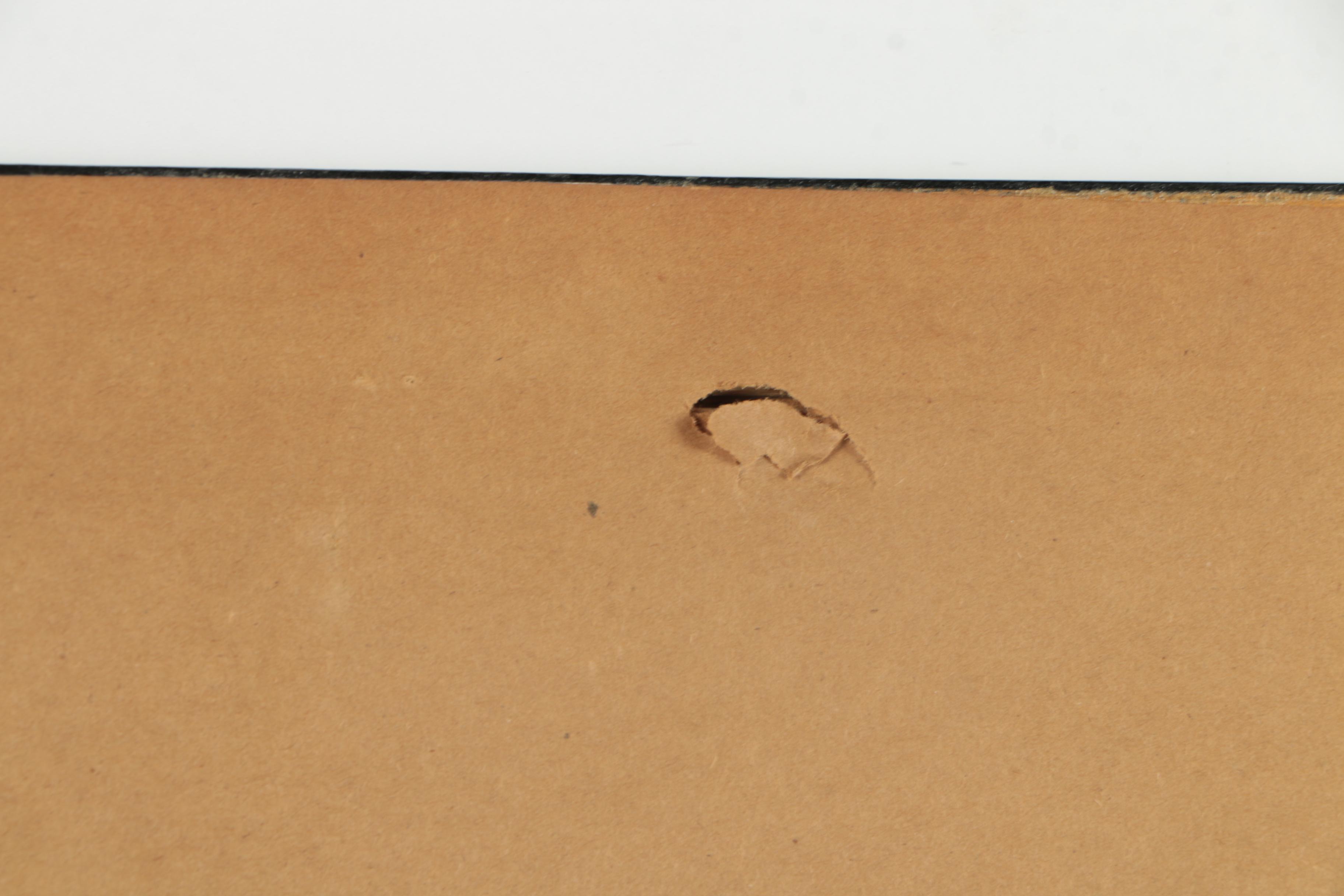 Prideaux John Selby Hand-Colored Drypoint Engraving on Paper "Eider Duck, Male"