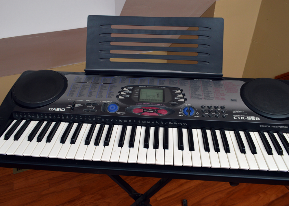 Casio Electronic Keyboard and Stand