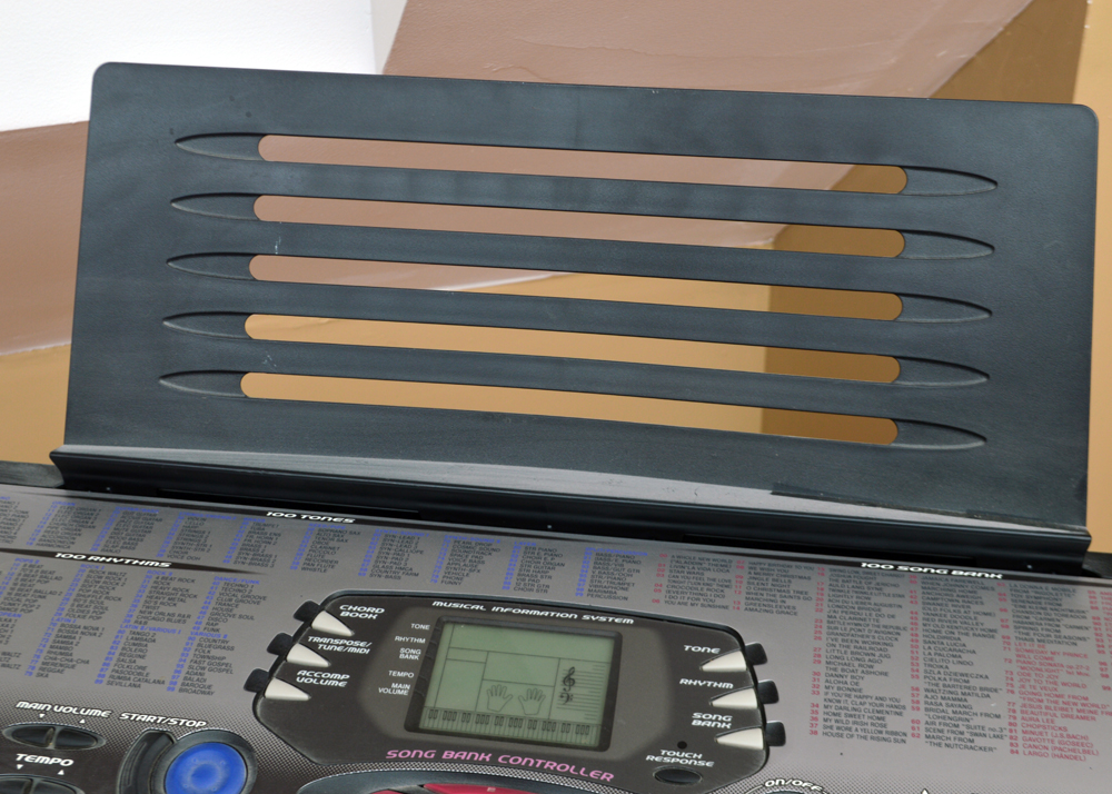 Casio Electronic Keyboard and Stand