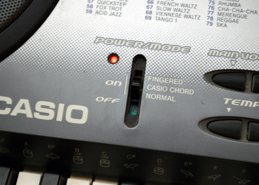 Casio Electronic Keyboard and Stand