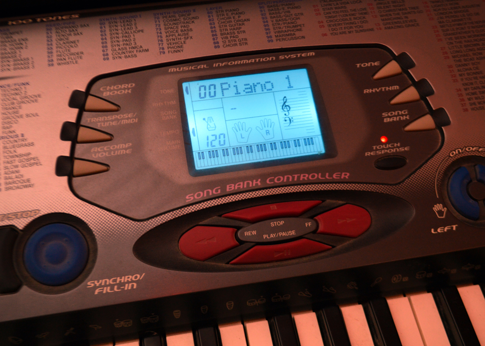 Casio Electronic Keyboard and Stand