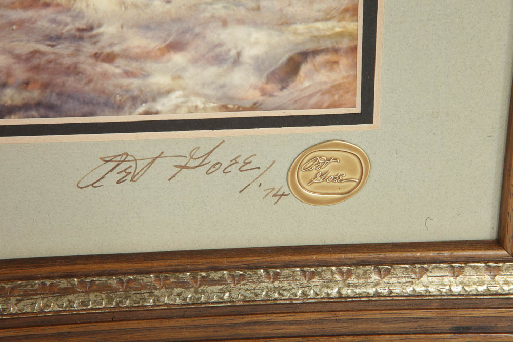 Collection of Framed Photographs by Colorado Photographer Art Gore