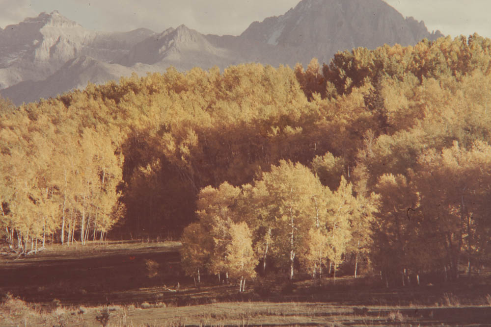 Collection of Framed Photographs by Colorado Photographer Art Gore