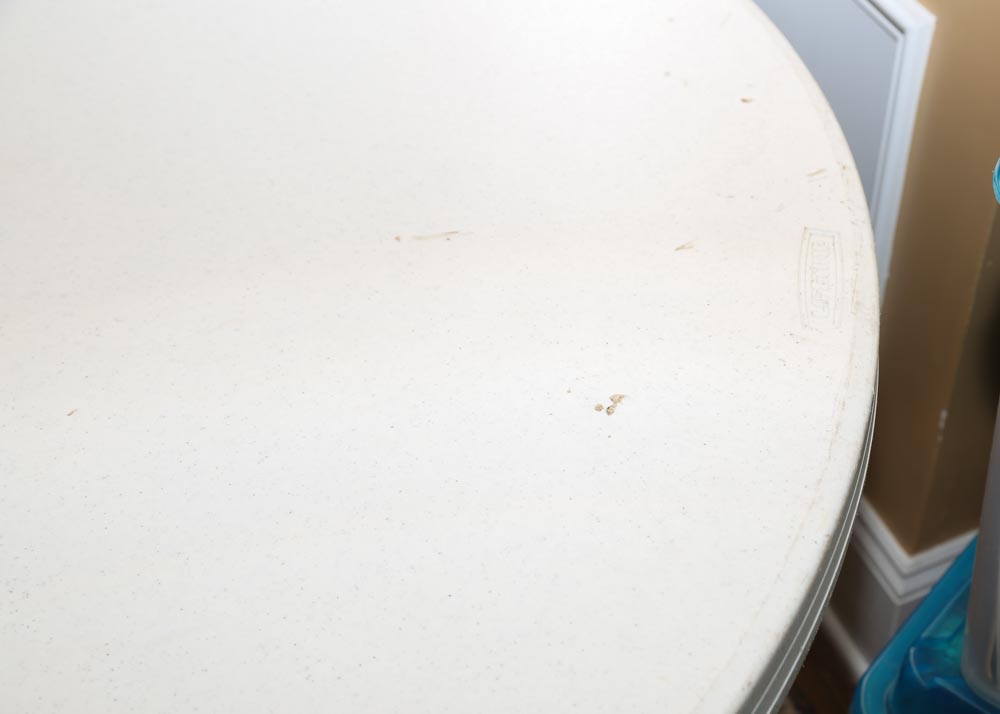 Lifetime Round Folding Table