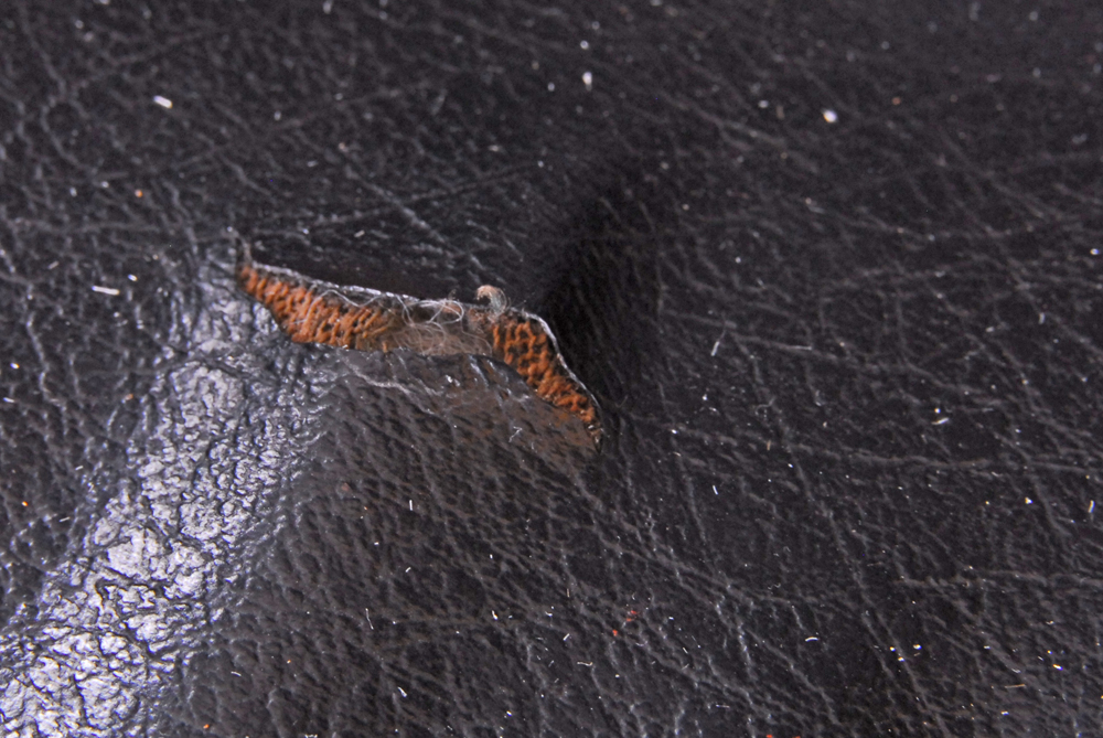 Eames Style Lounge Chair and Ottoman by Charlton Company