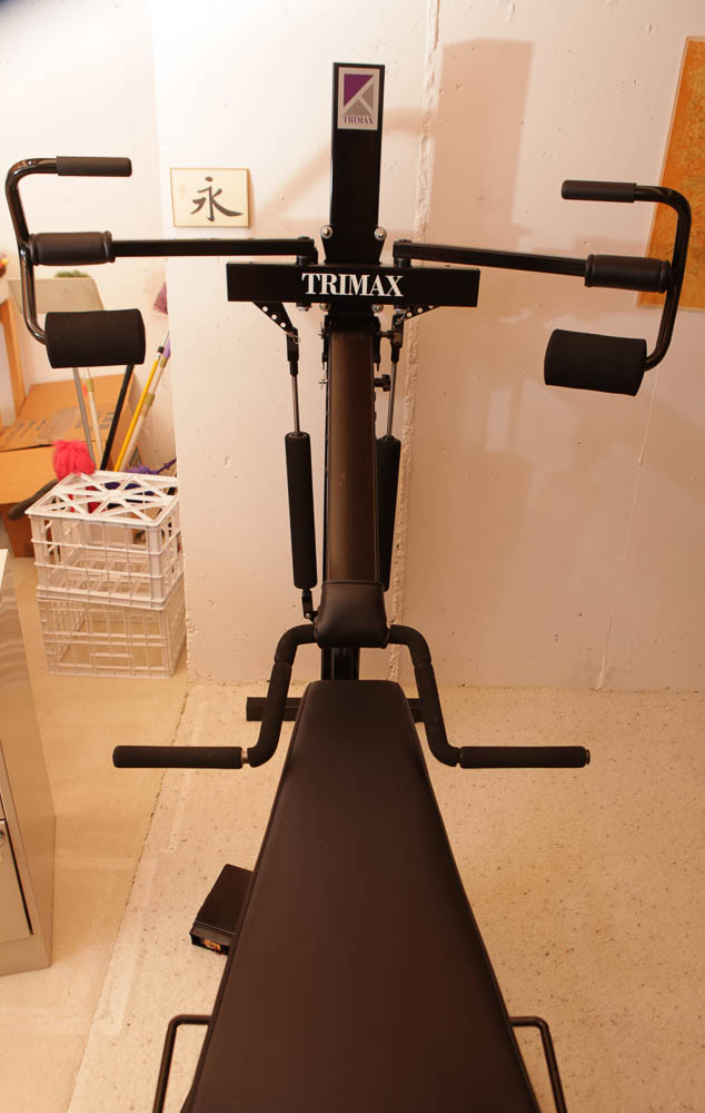 Trimax Fitness Machine