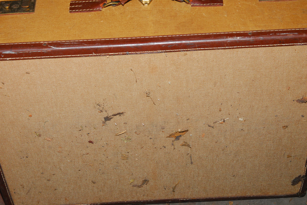 Pair of Hartmann Suitacases