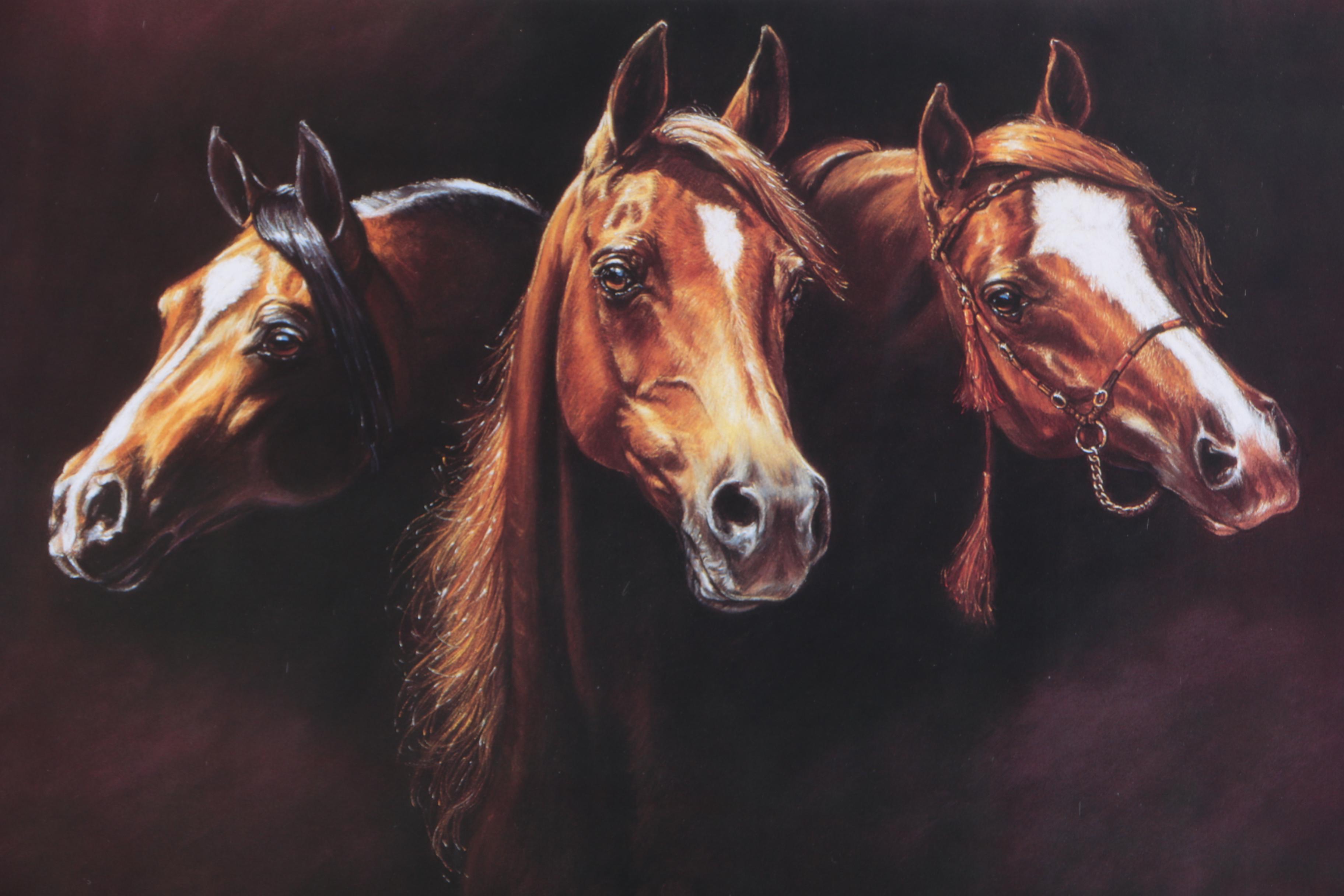 Offset Lithograph Prints by Susie Morton