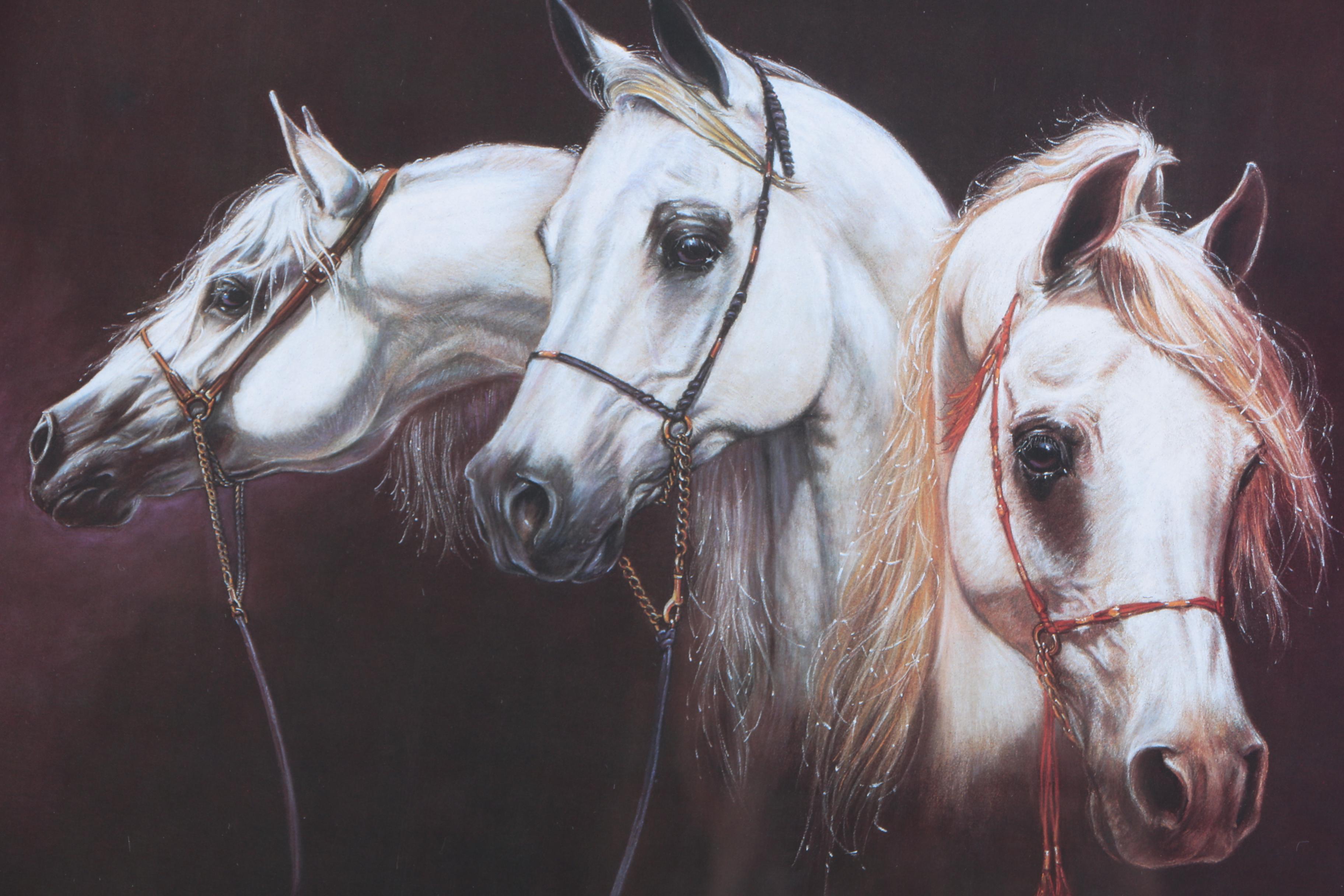 Offset Lithograph Prints by Susie Morton