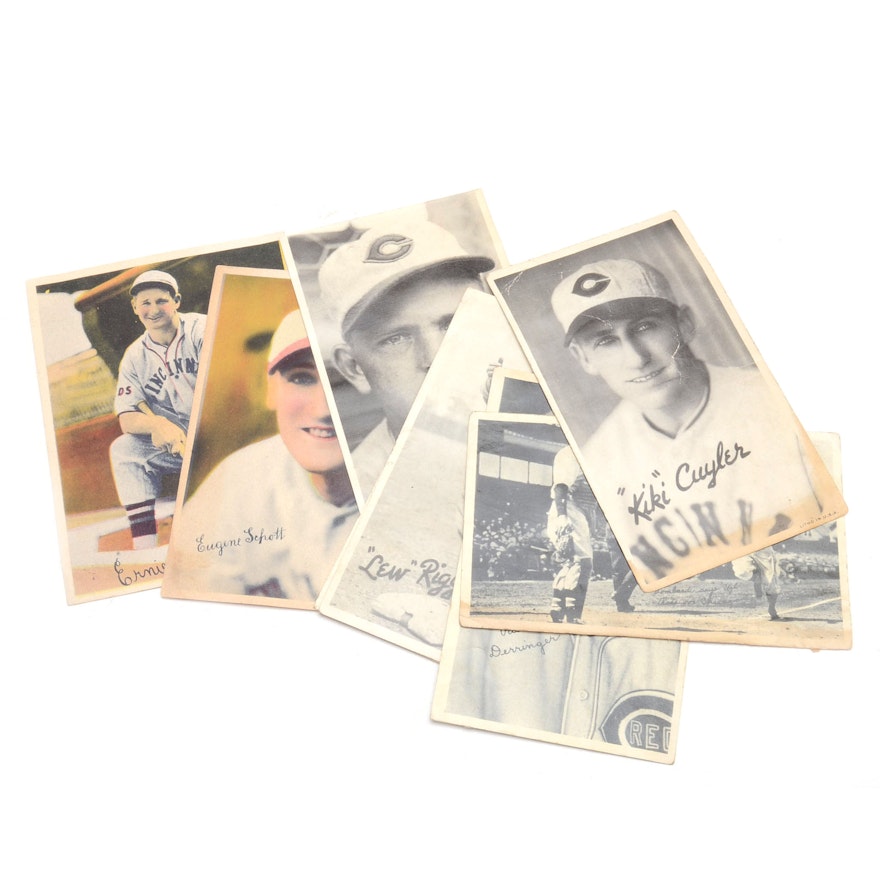 Eight 1930s Cincinnati Reds Goudey Photo Cards