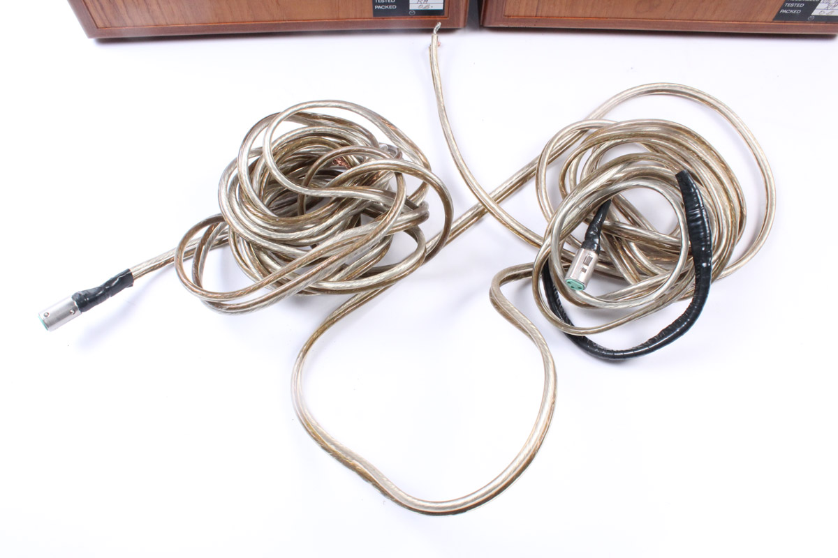 Linn Sara Isobarik Speakers and Custom Stands