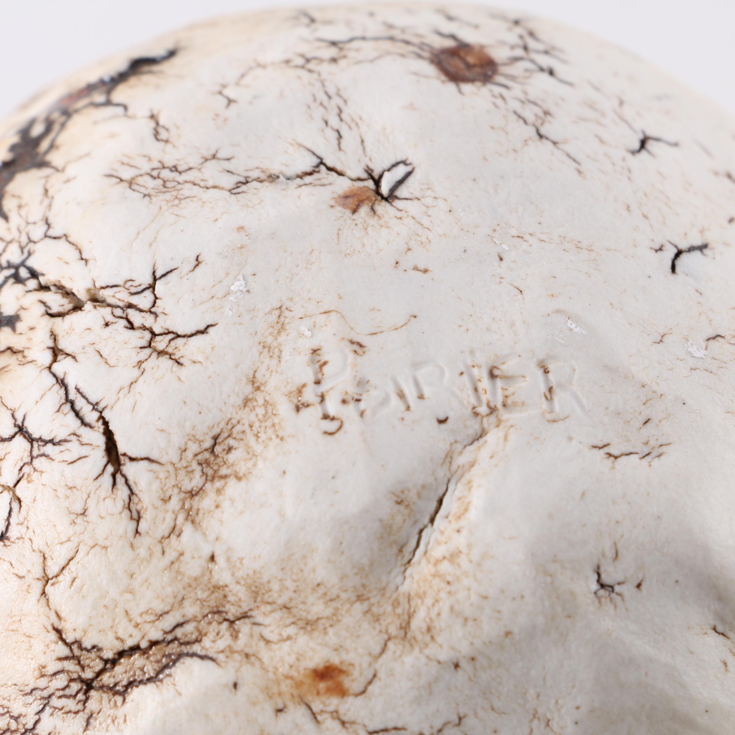 Porcelain Tableware Grouping.