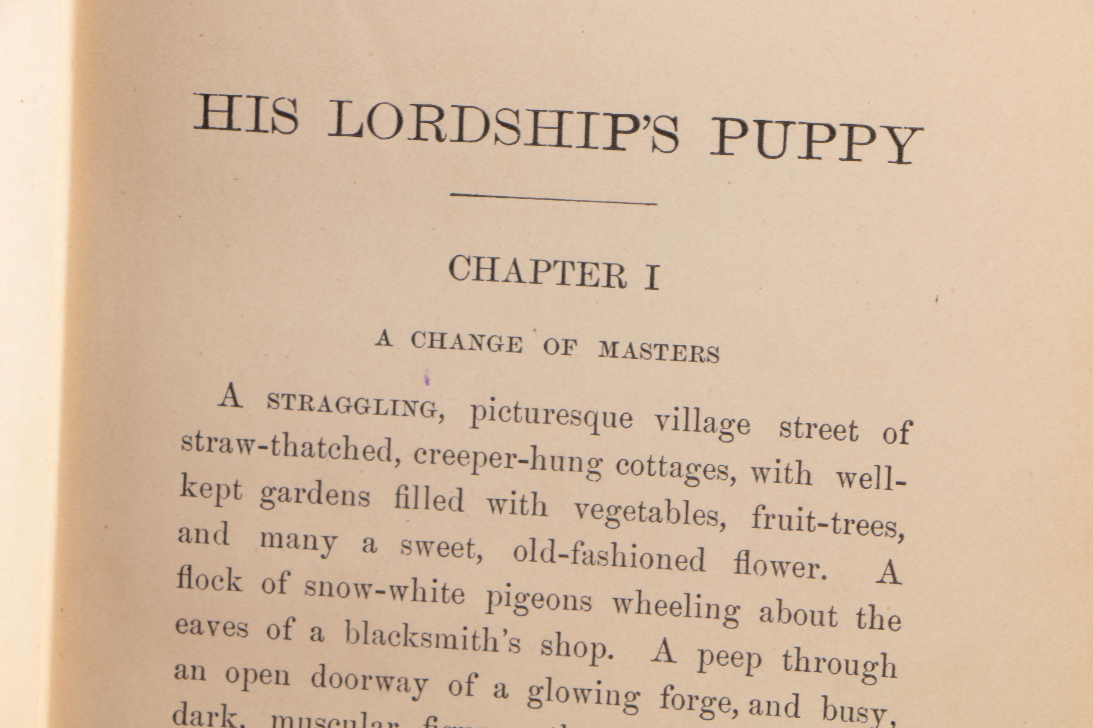 Antique Fictional Books