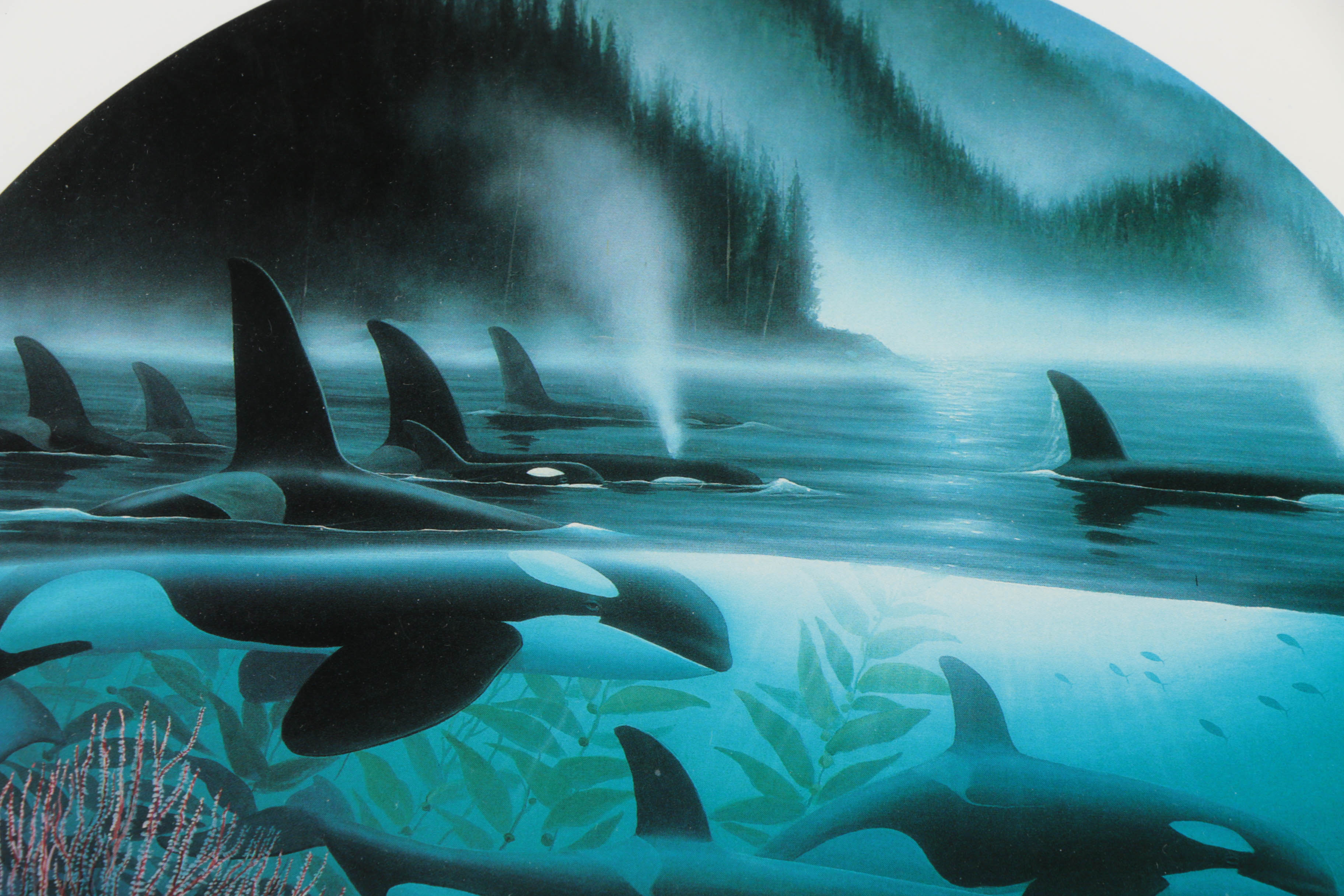 Robert Wyland Offset Lithograph "Orca Journey"