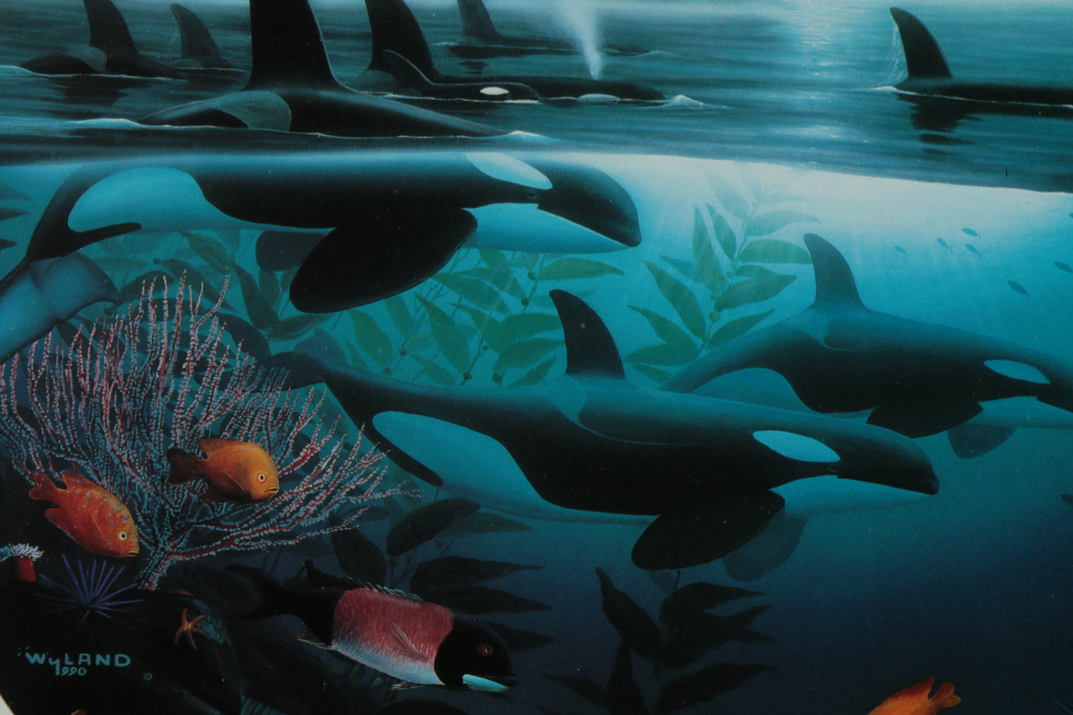 Robert Wyland Offset Lithograph "Orca Journey"