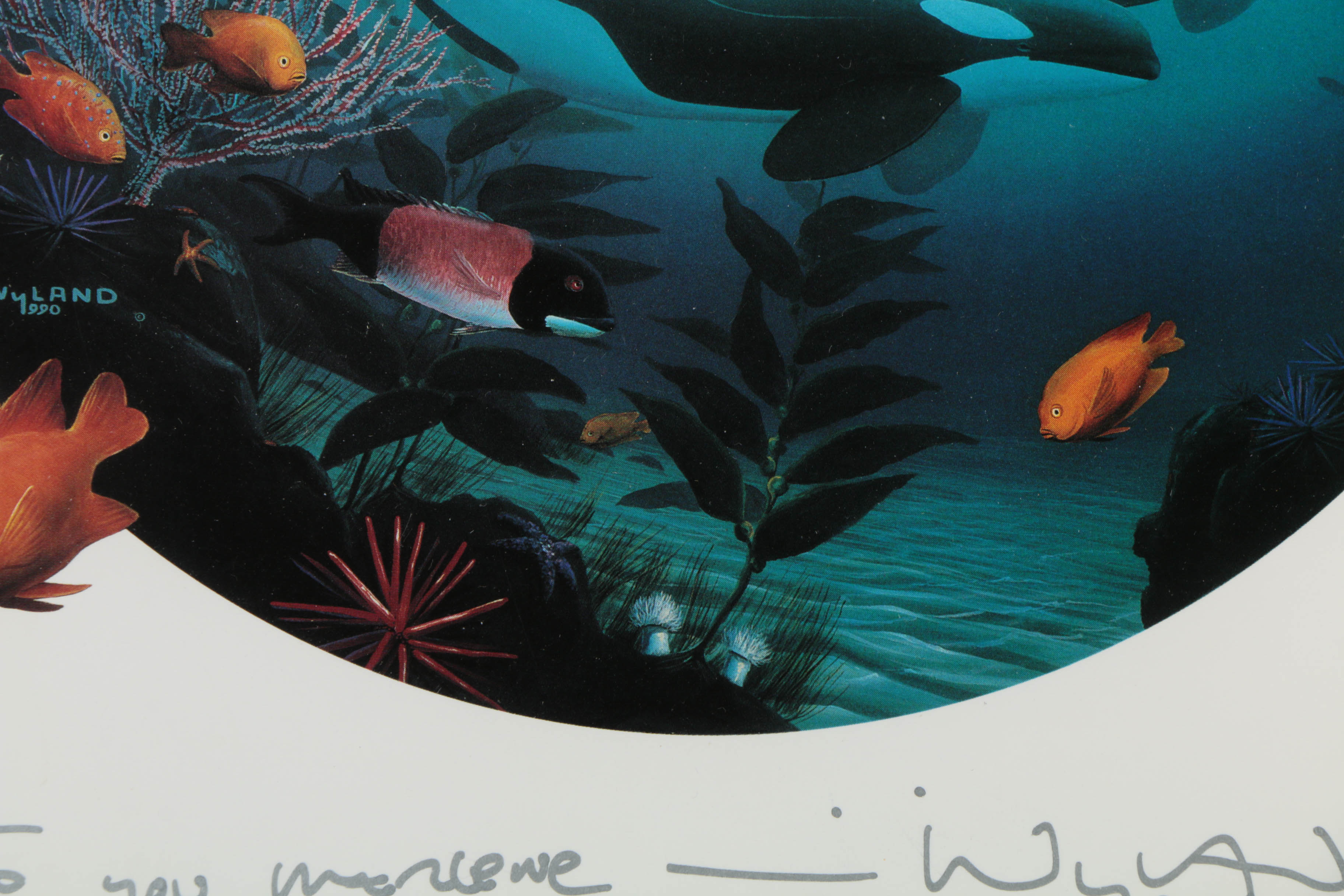 Robert Wyland Offset Lithograph "Orca Journey"