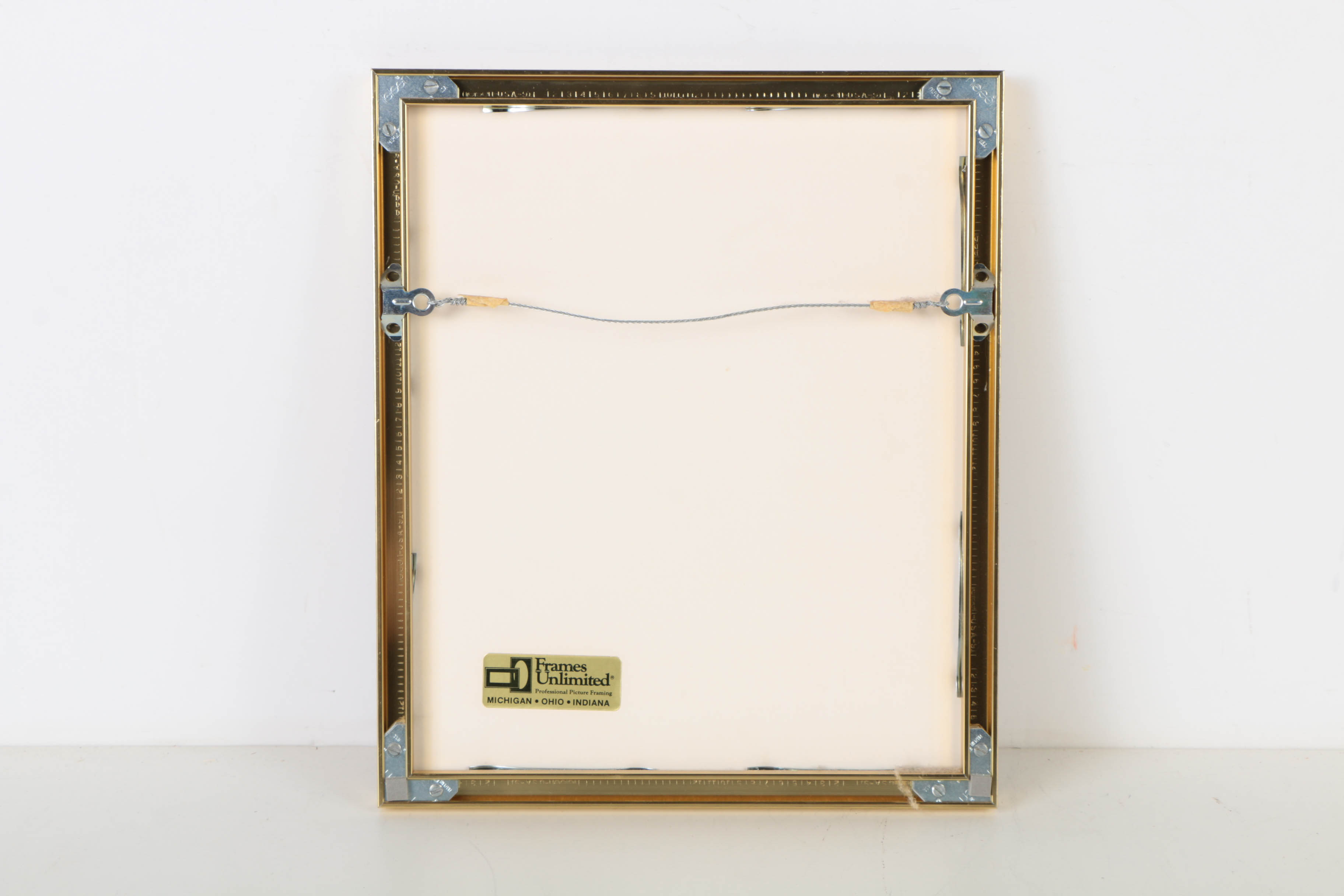 Robert Wyland Offset Lithograph "Orca Journey"