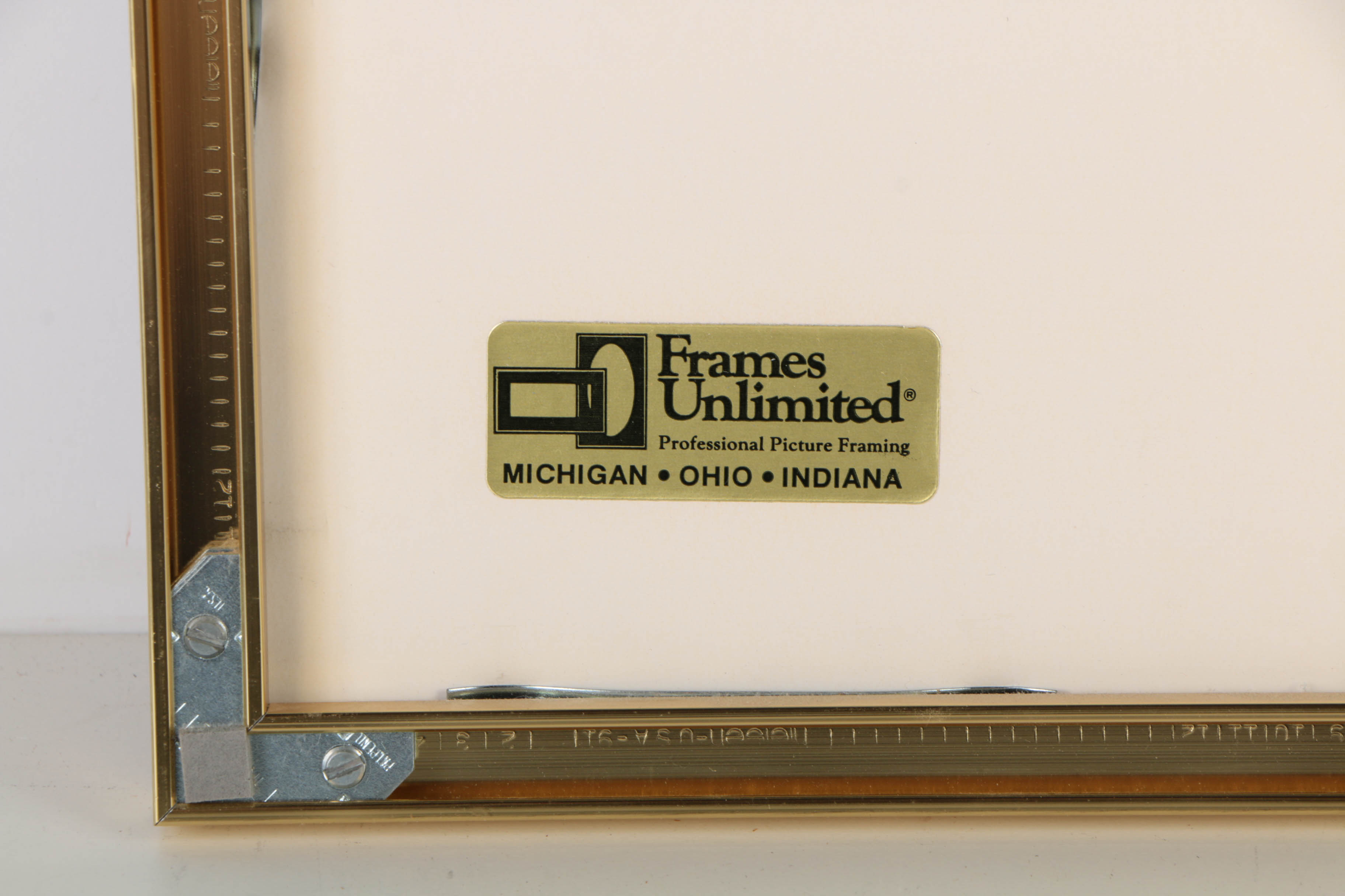 Robert Wyland Offset Lithograph "Orca Journey"