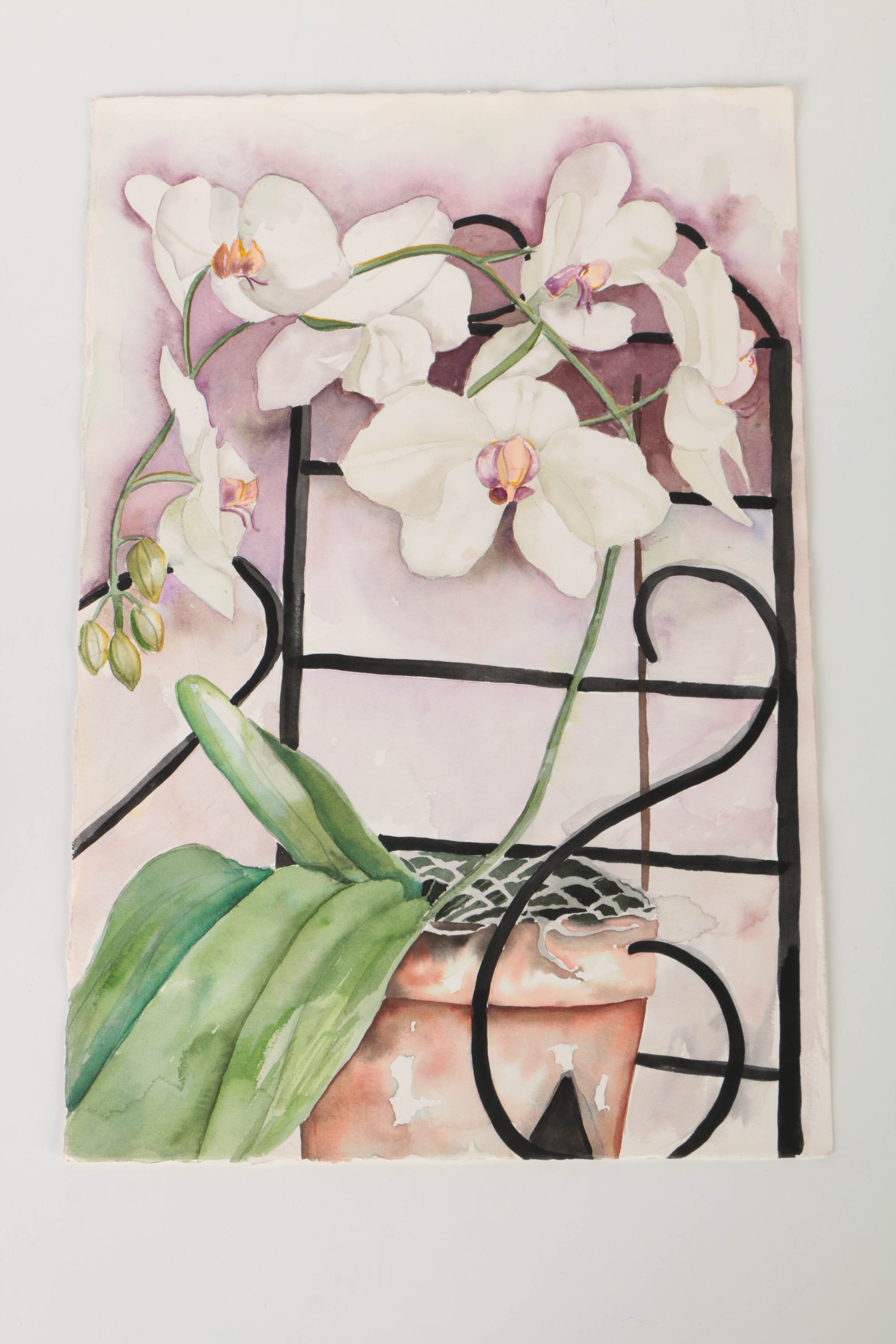 Watercolor Paintings of Floral Still Lives