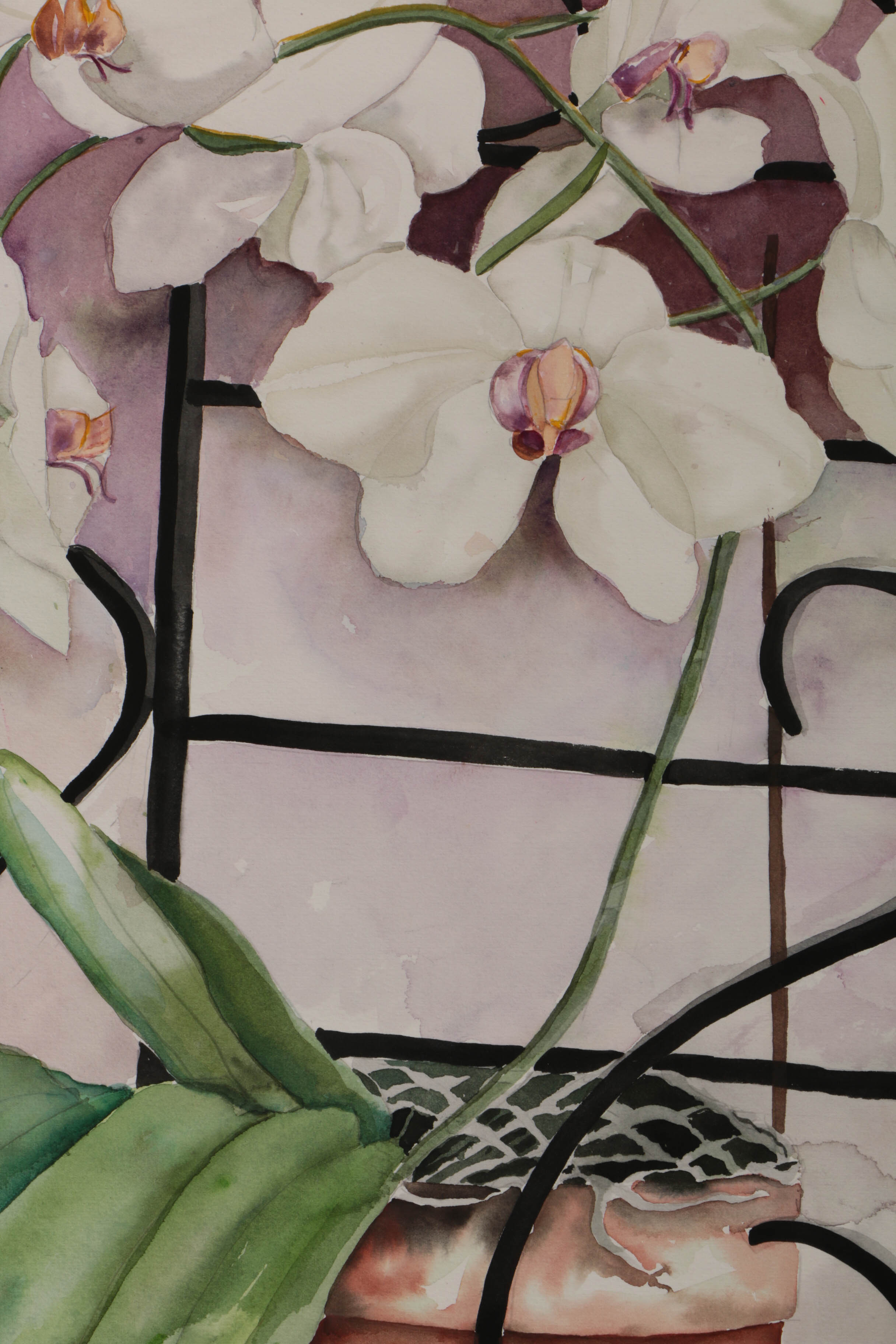 Watercolor Paintings of Floral Still Lives