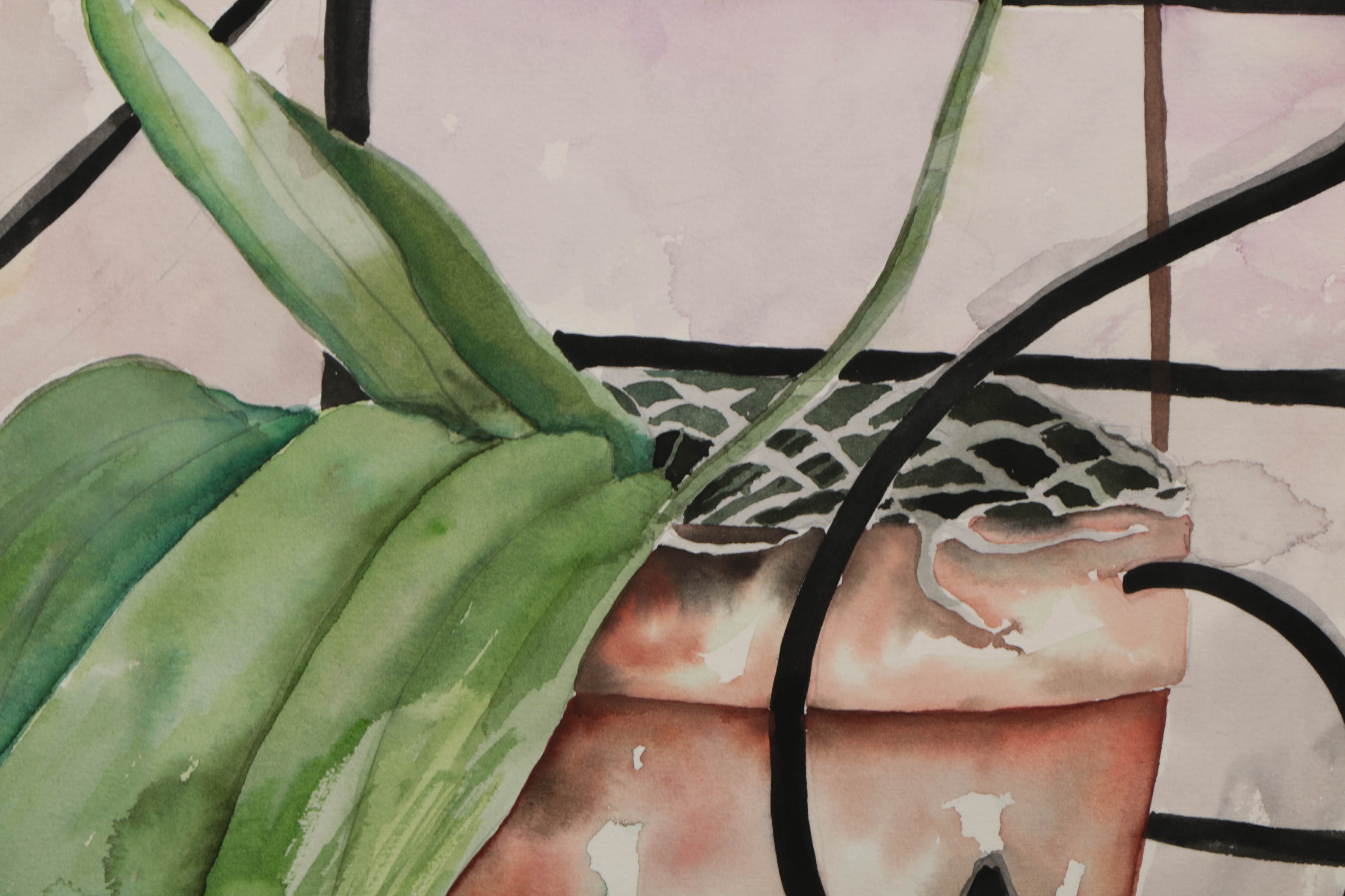 Watercolor Paintings of Floral Still Lives